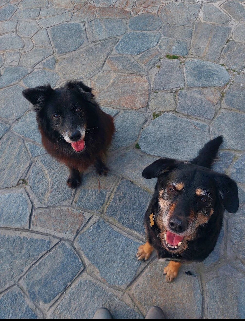 image-10