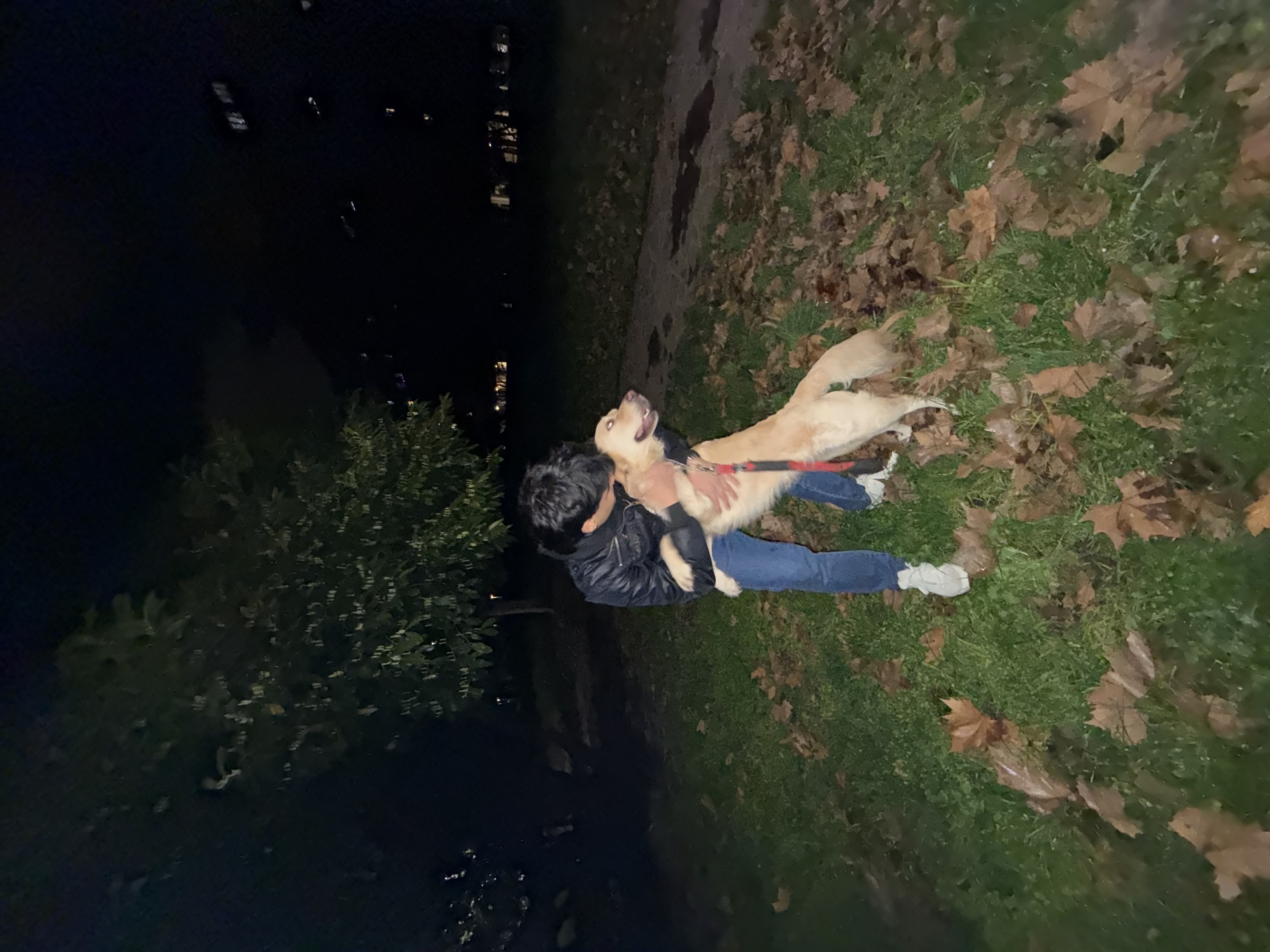 image-5