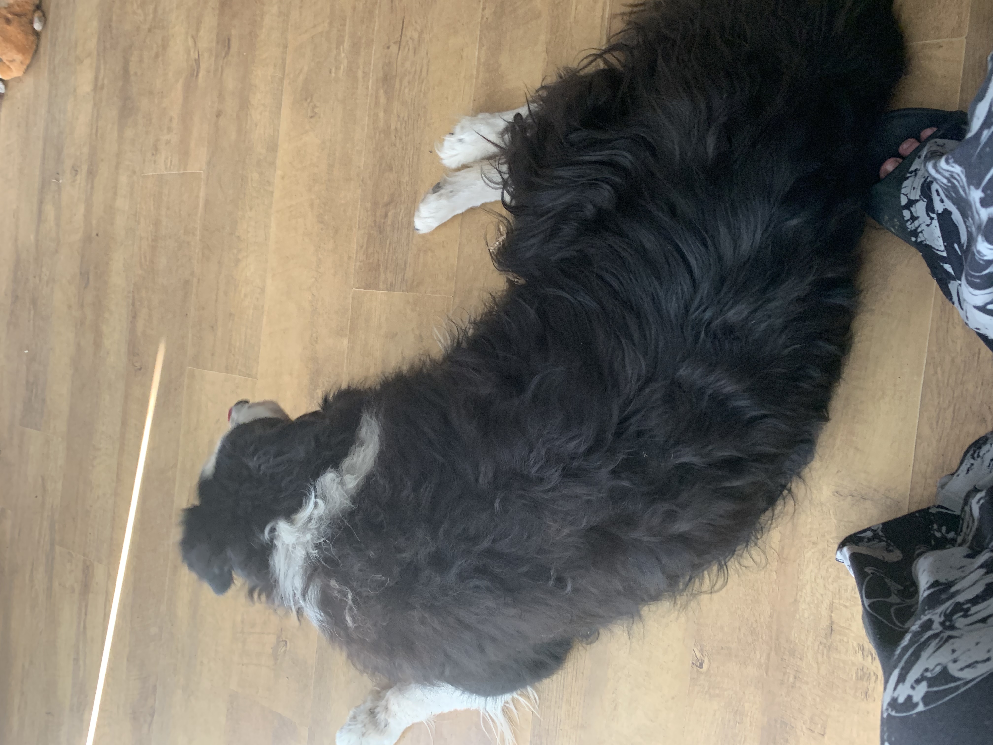 image-9
