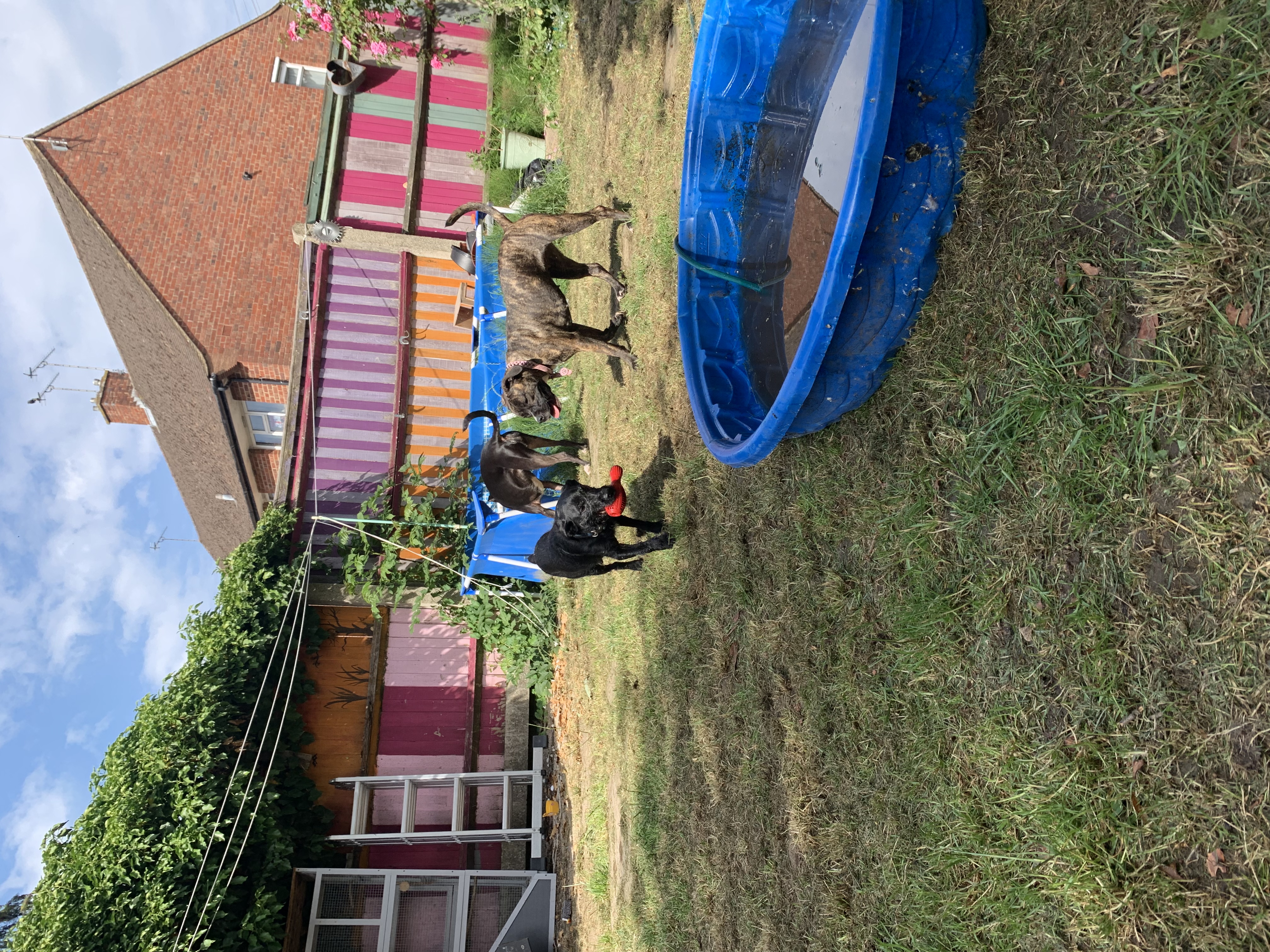 image-13