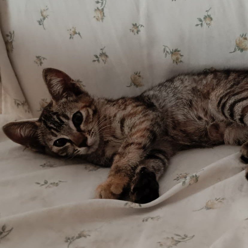 Tina 