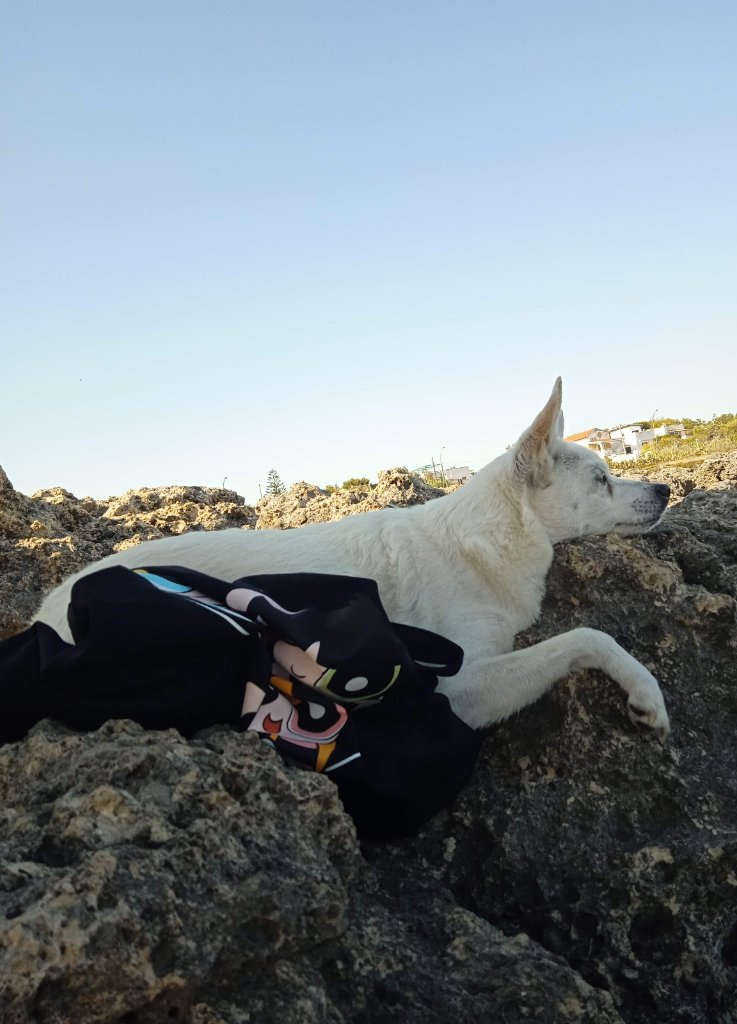 image-11