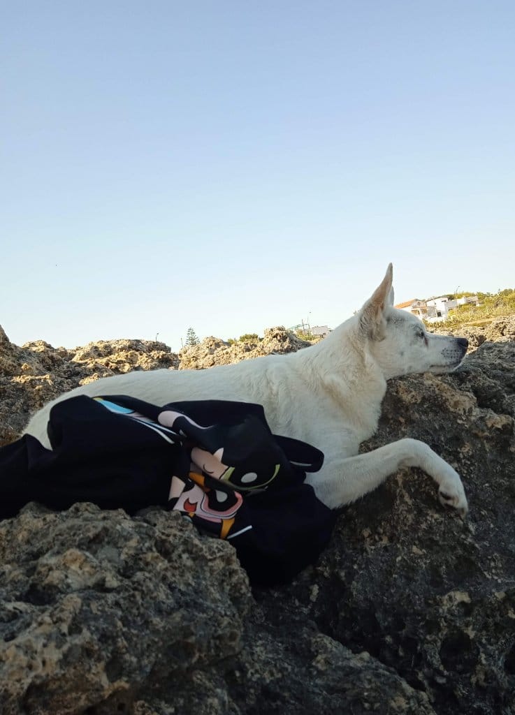 image-11