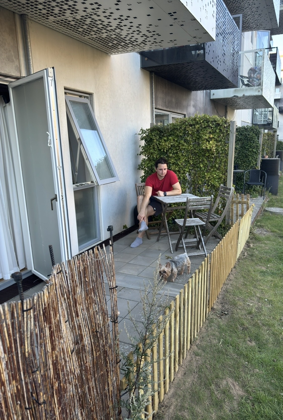 image-14