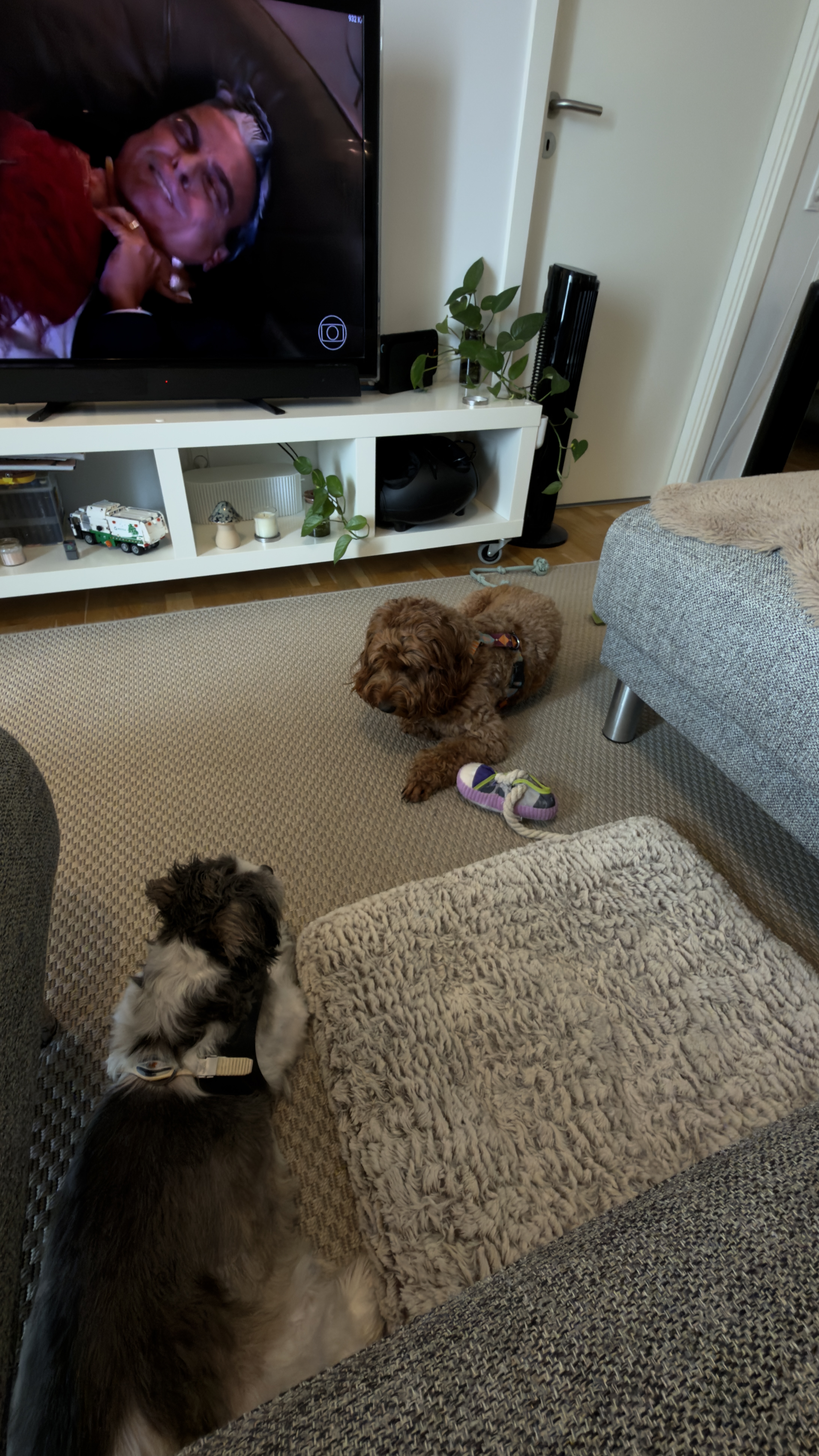 image-18