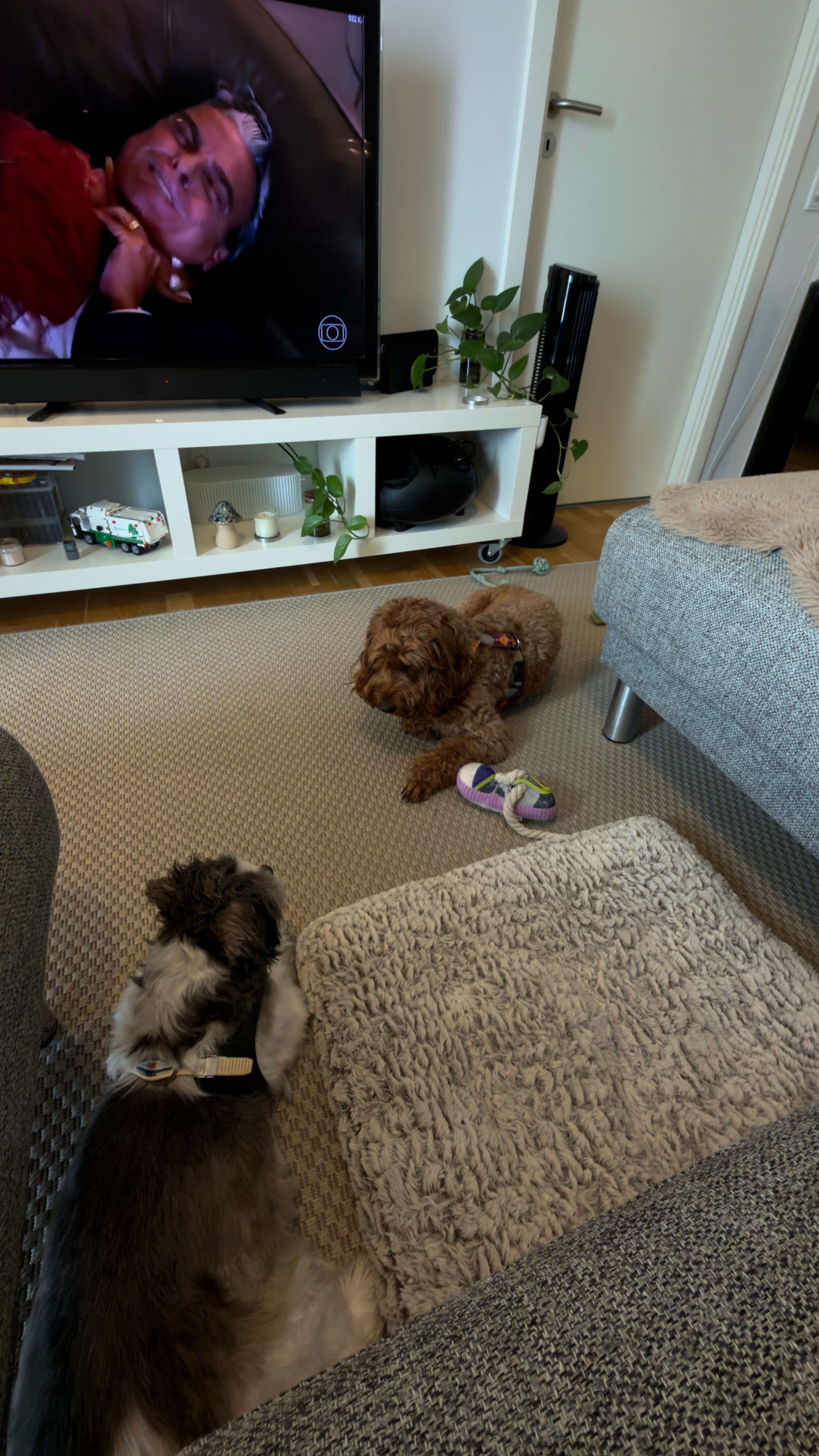 image-18