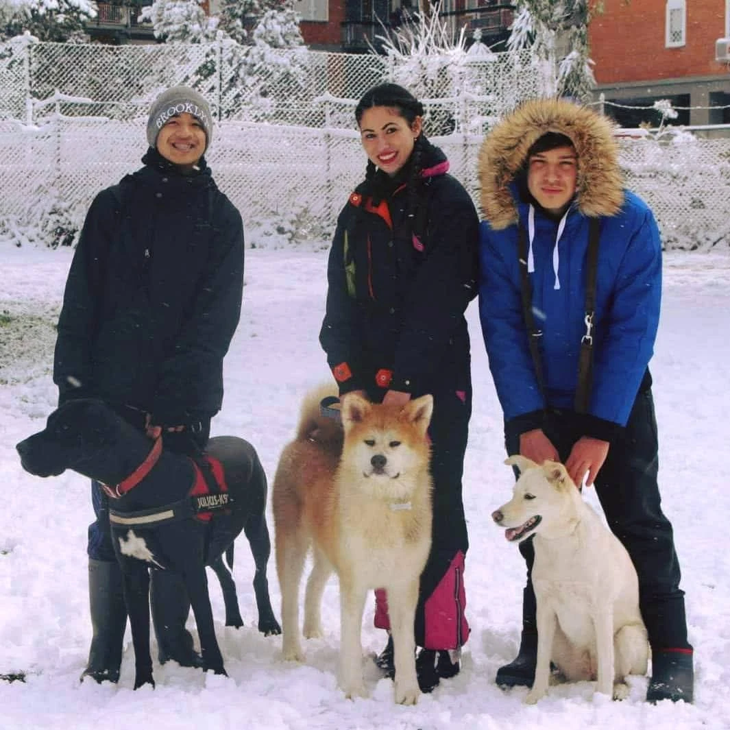 image-6