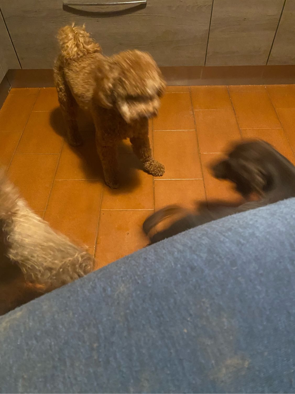 image-5