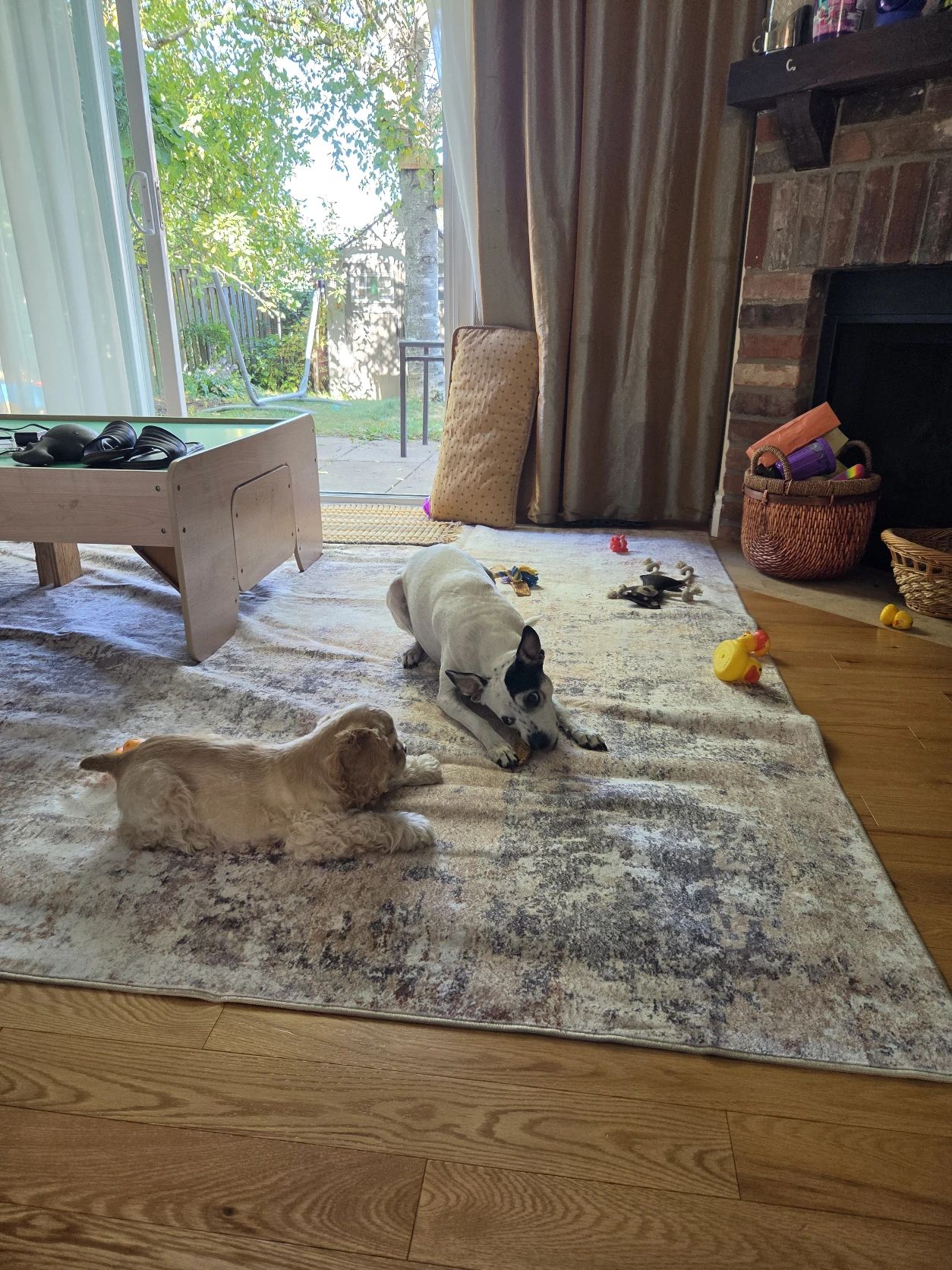 image-18