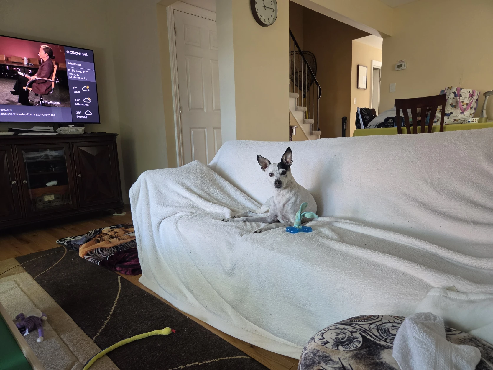 image-19