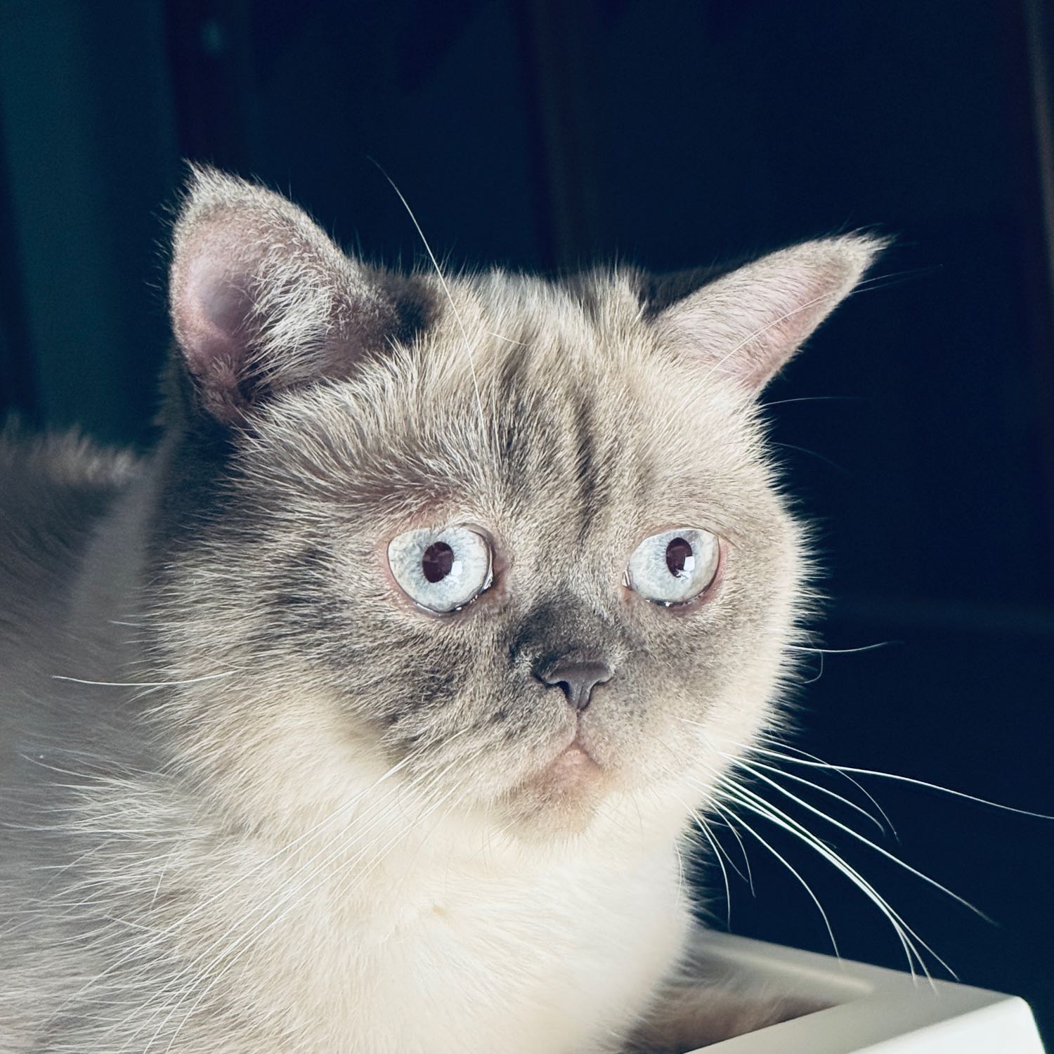 Luna