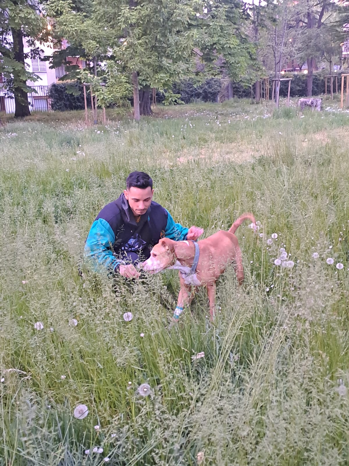 image-1