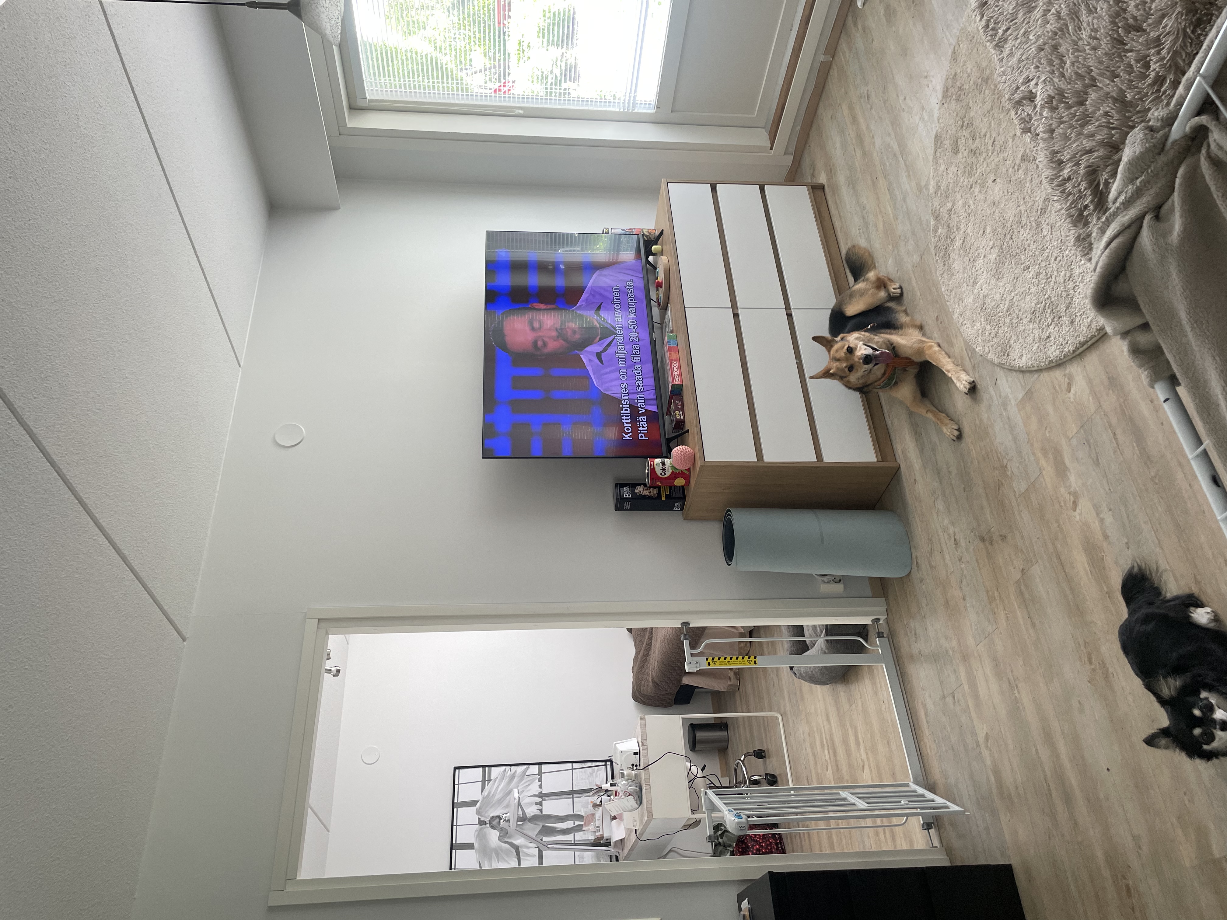 image-11