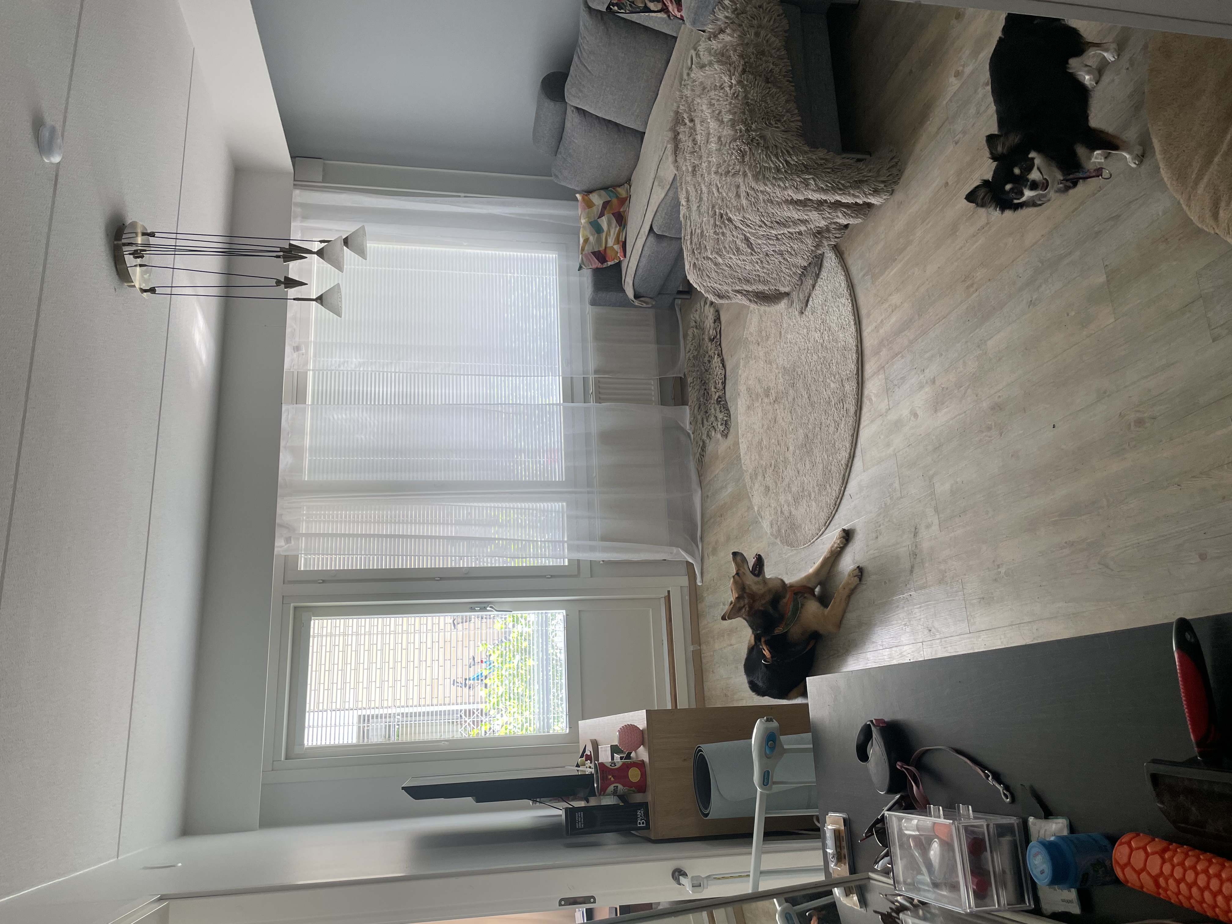 image-10