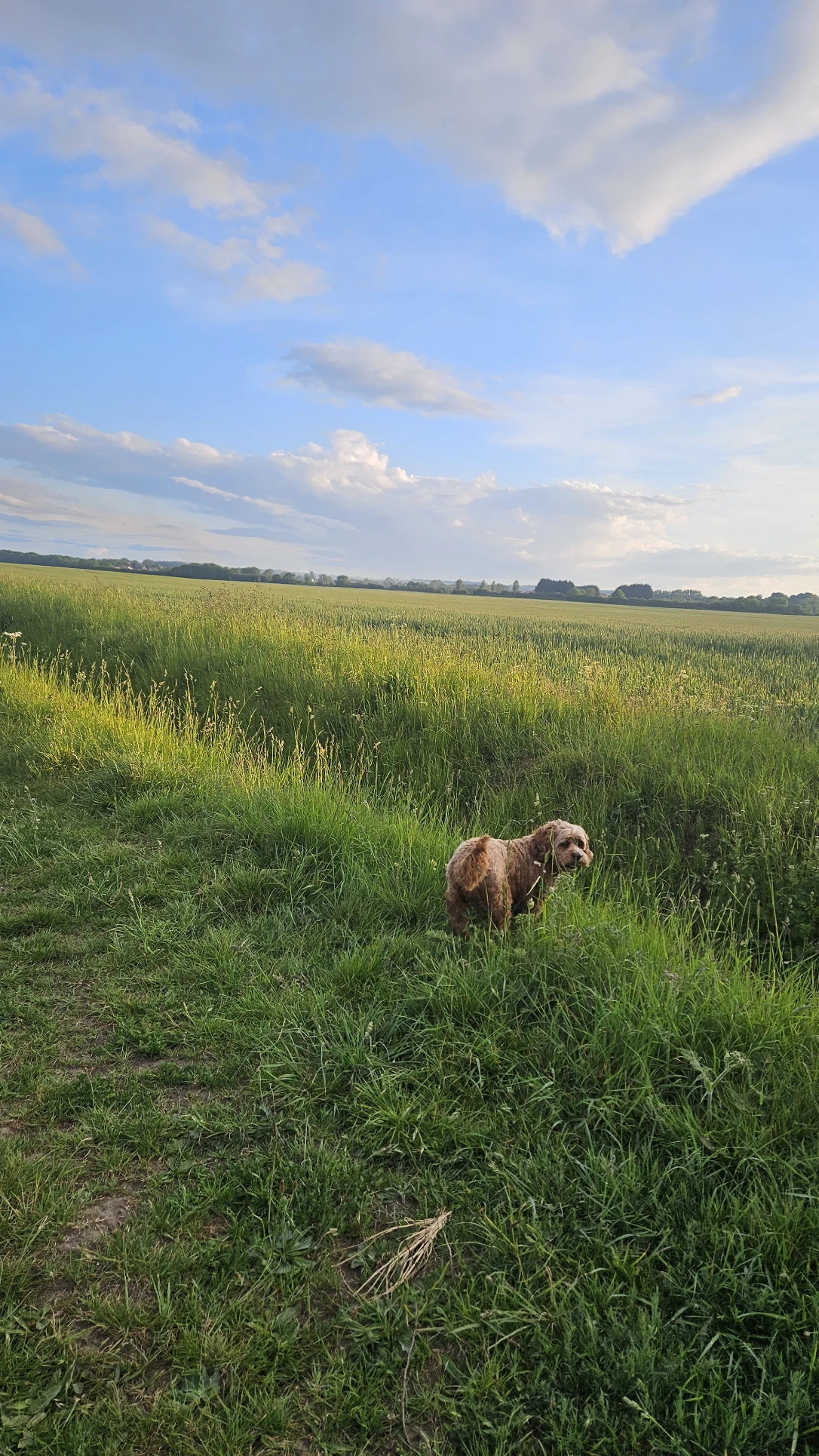 image-8