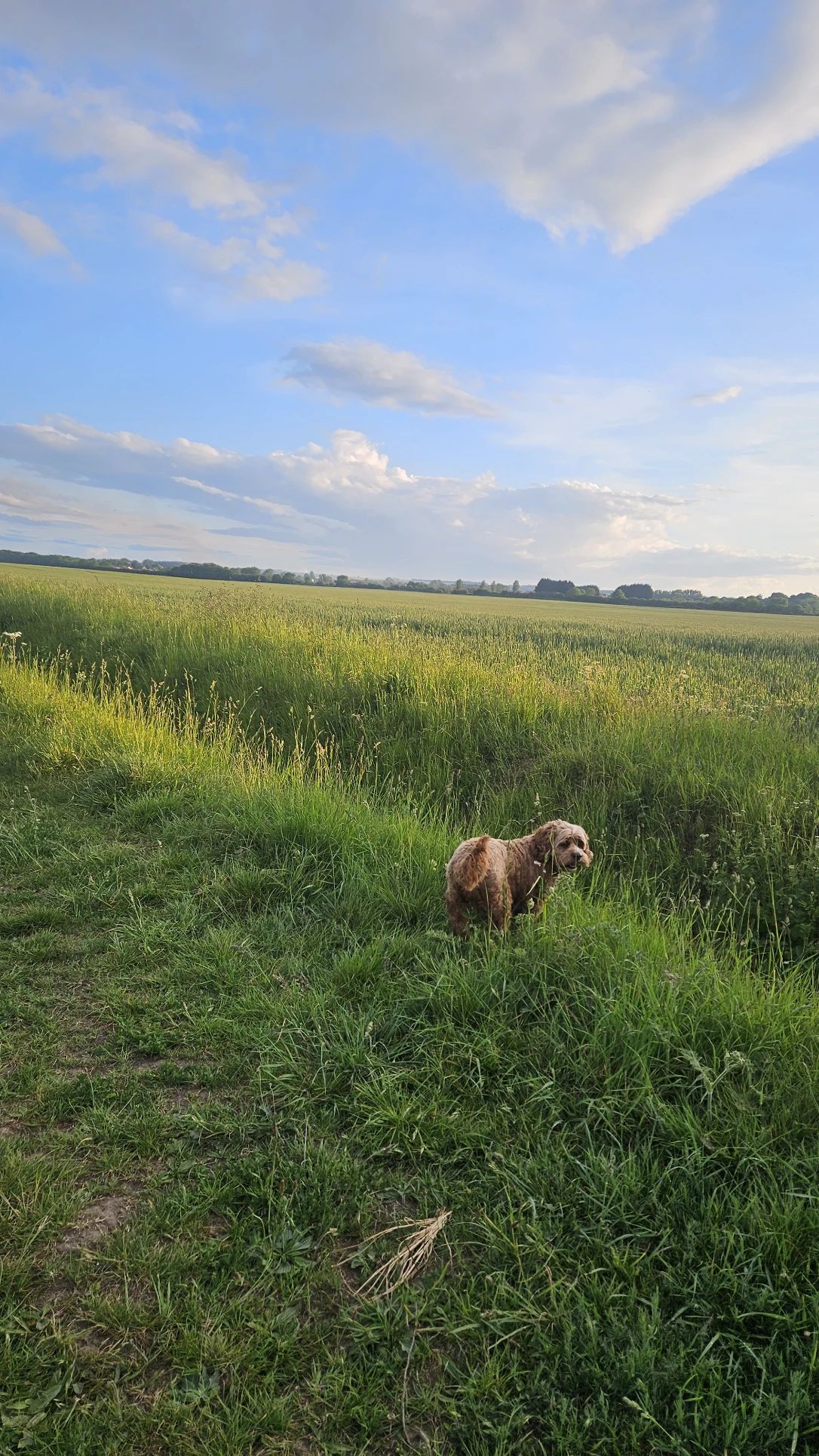 image-8