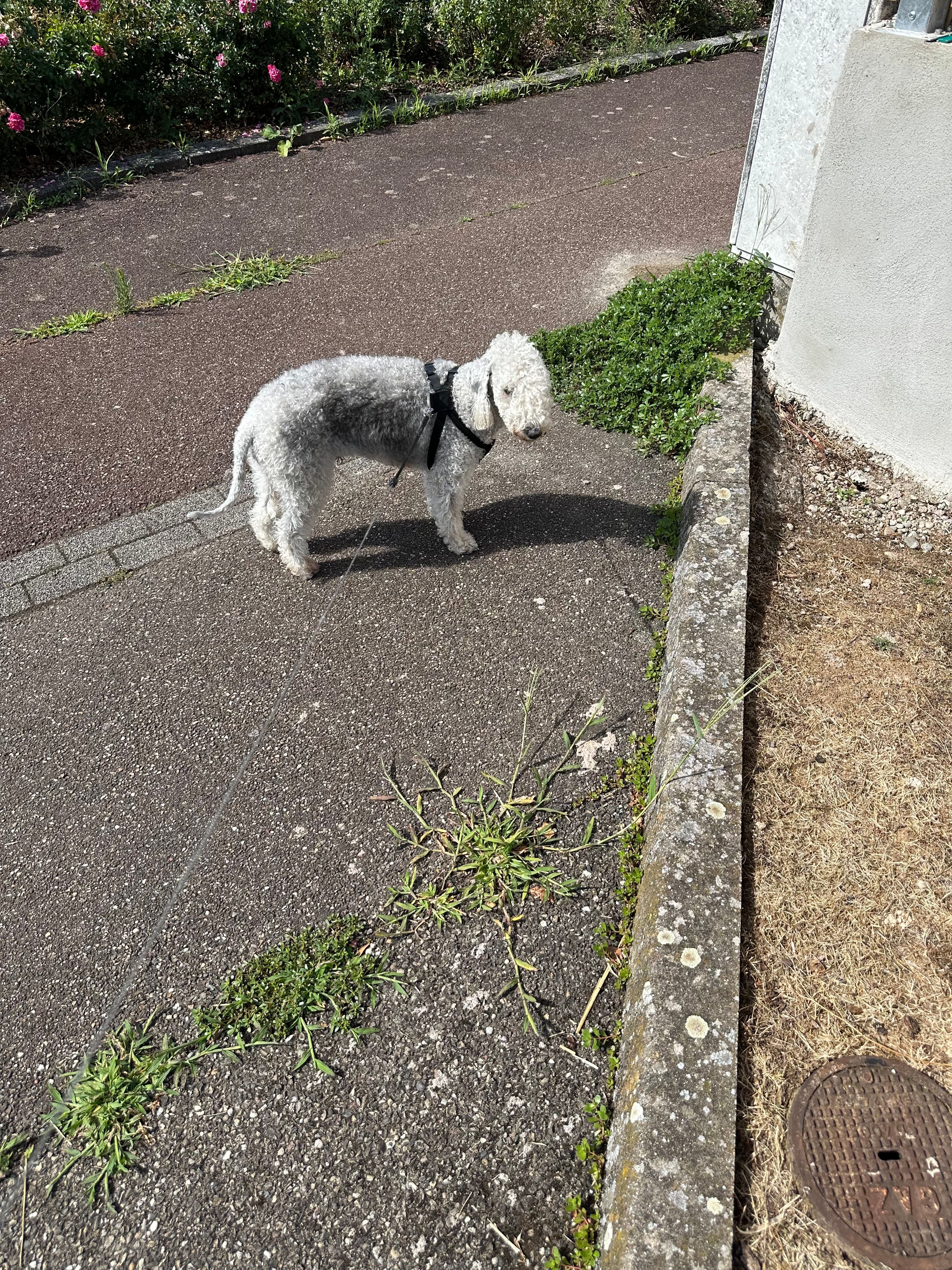 image-9