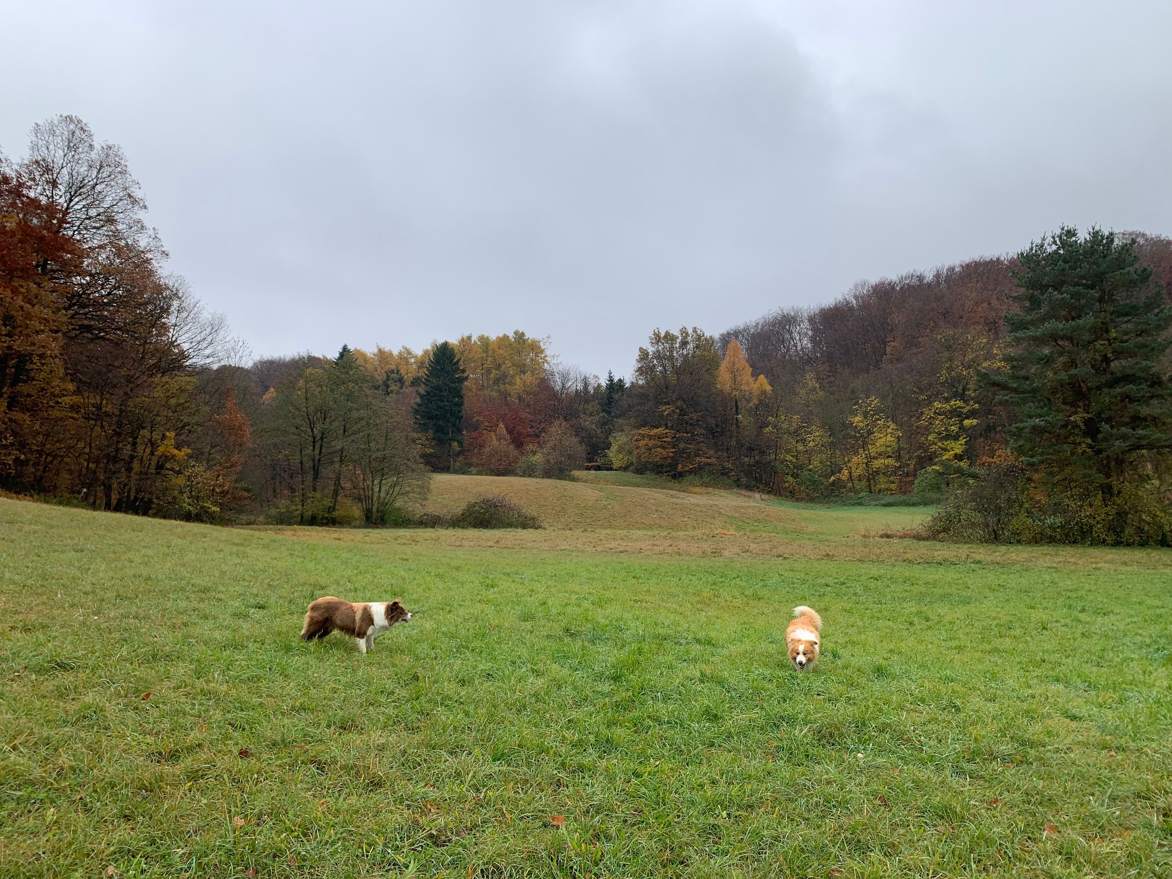 image-19