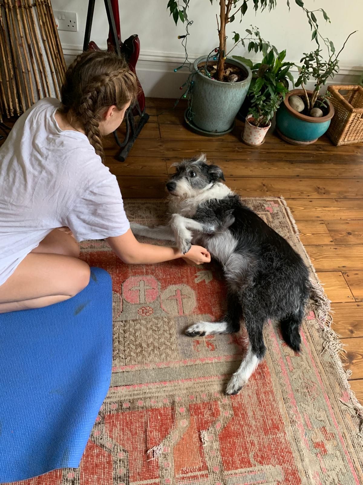 image-11