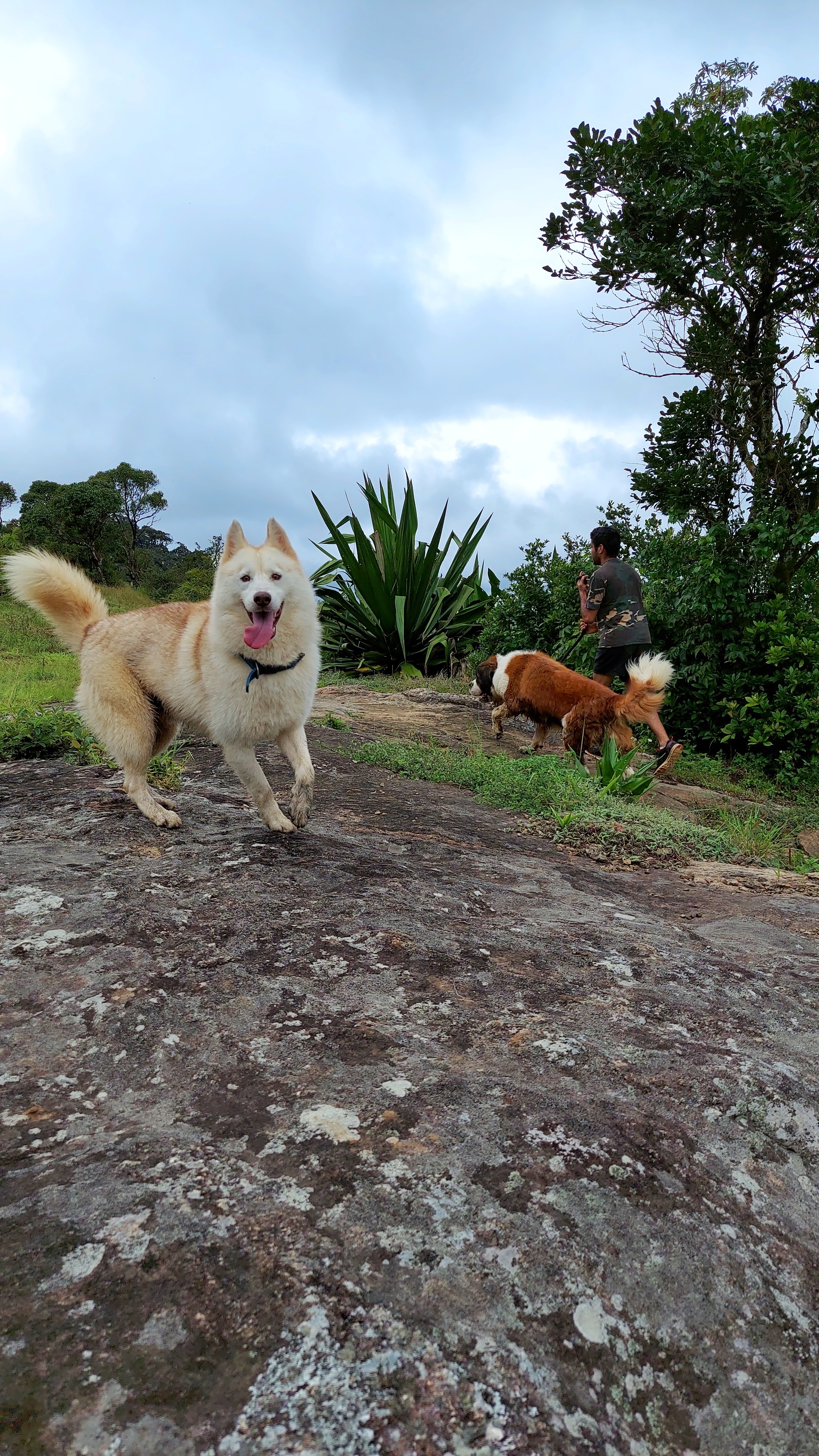 image-8