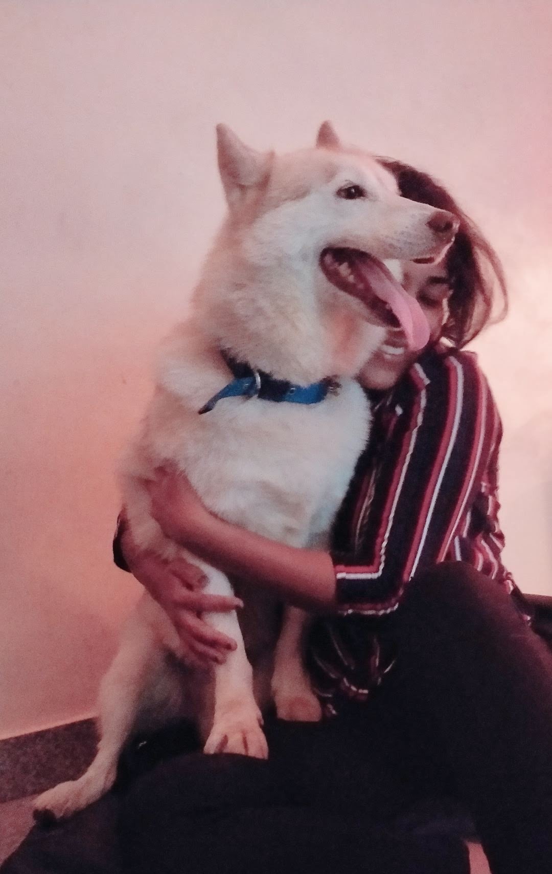 image-6