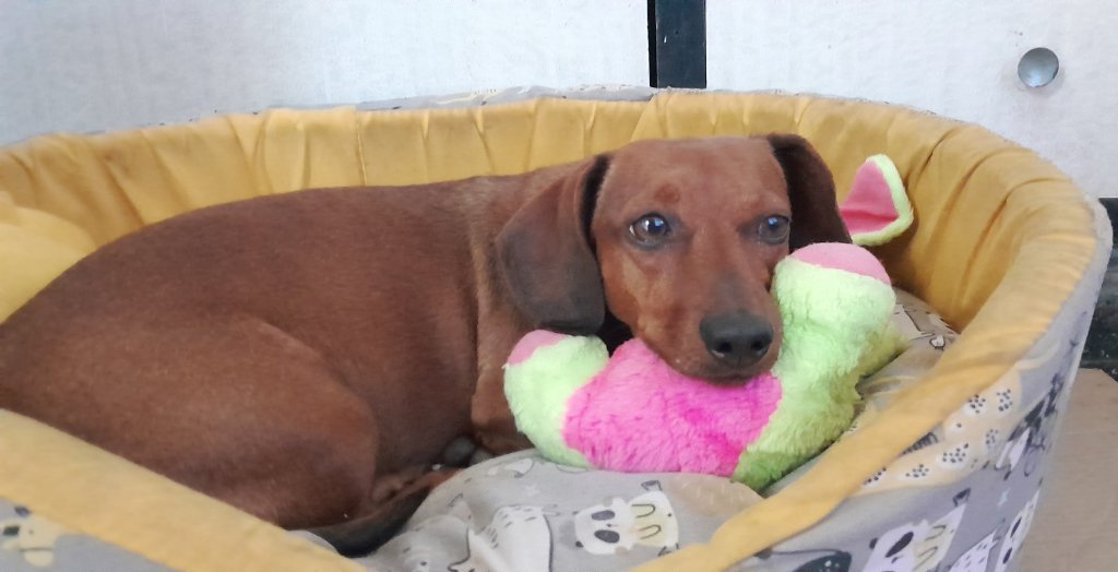 image-4