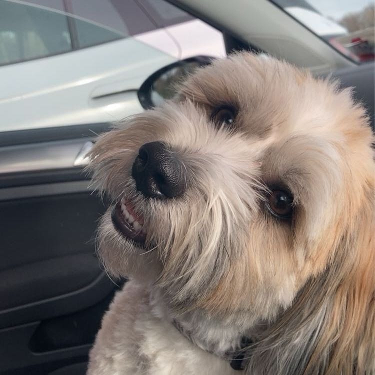 Charlie