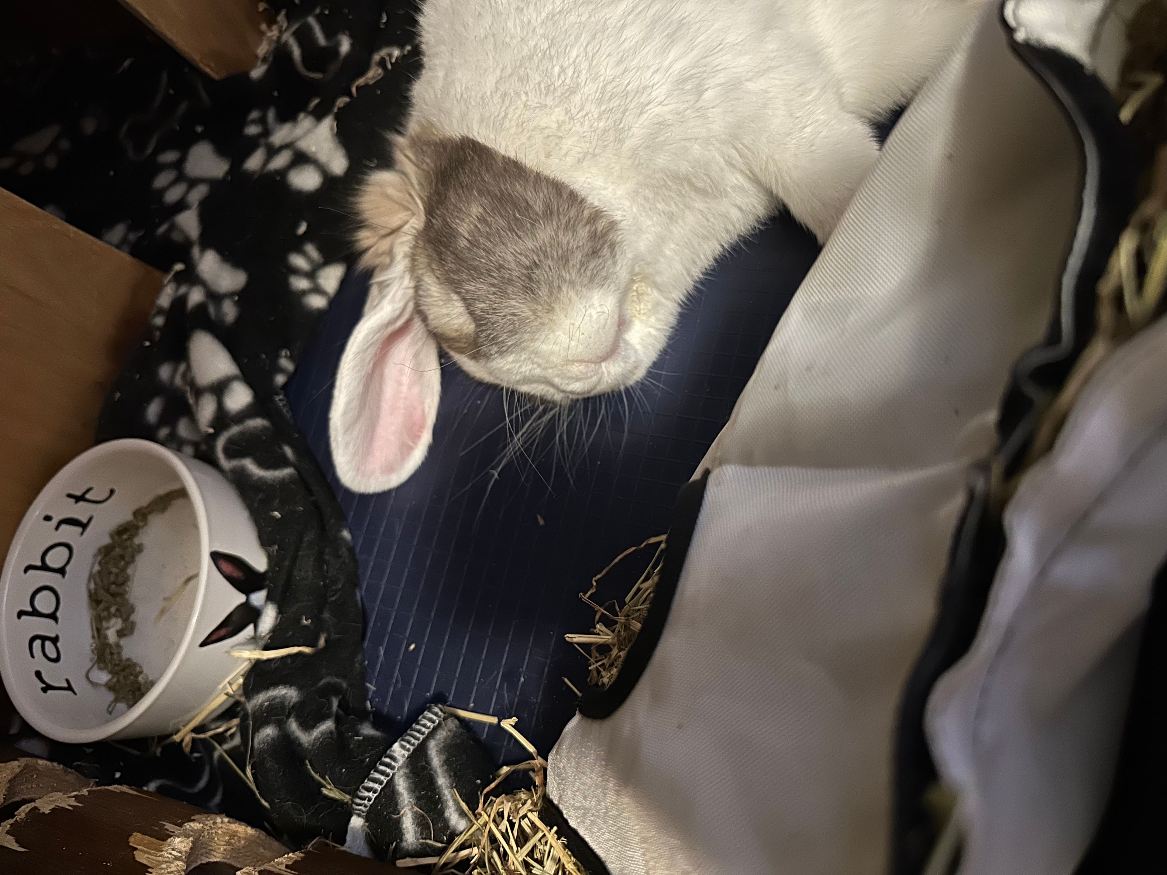 image-13