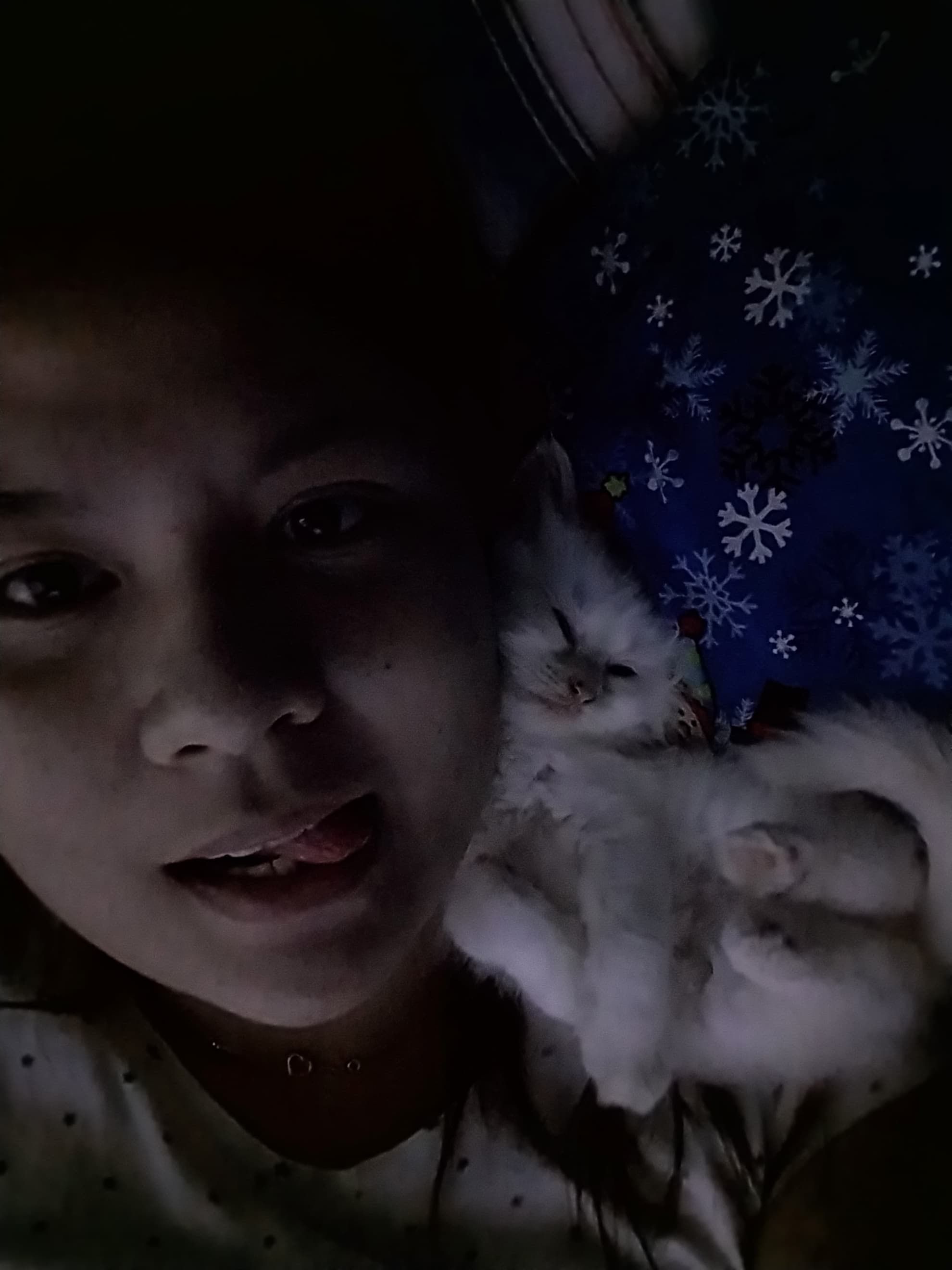 image-5