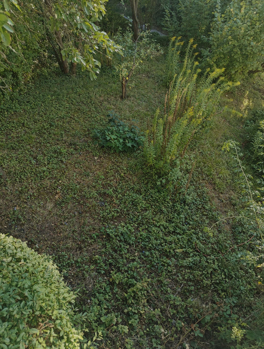 image-17