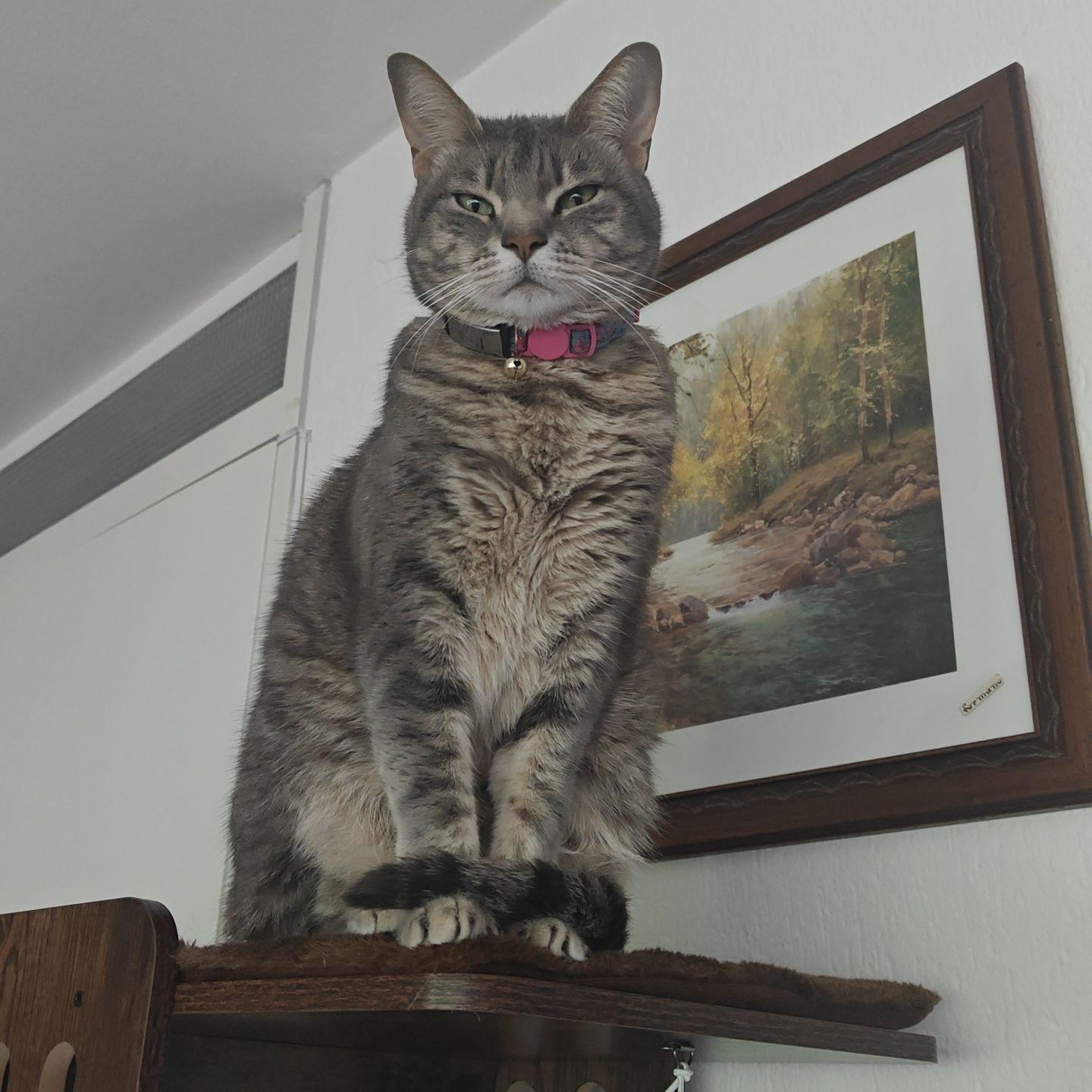 Noa