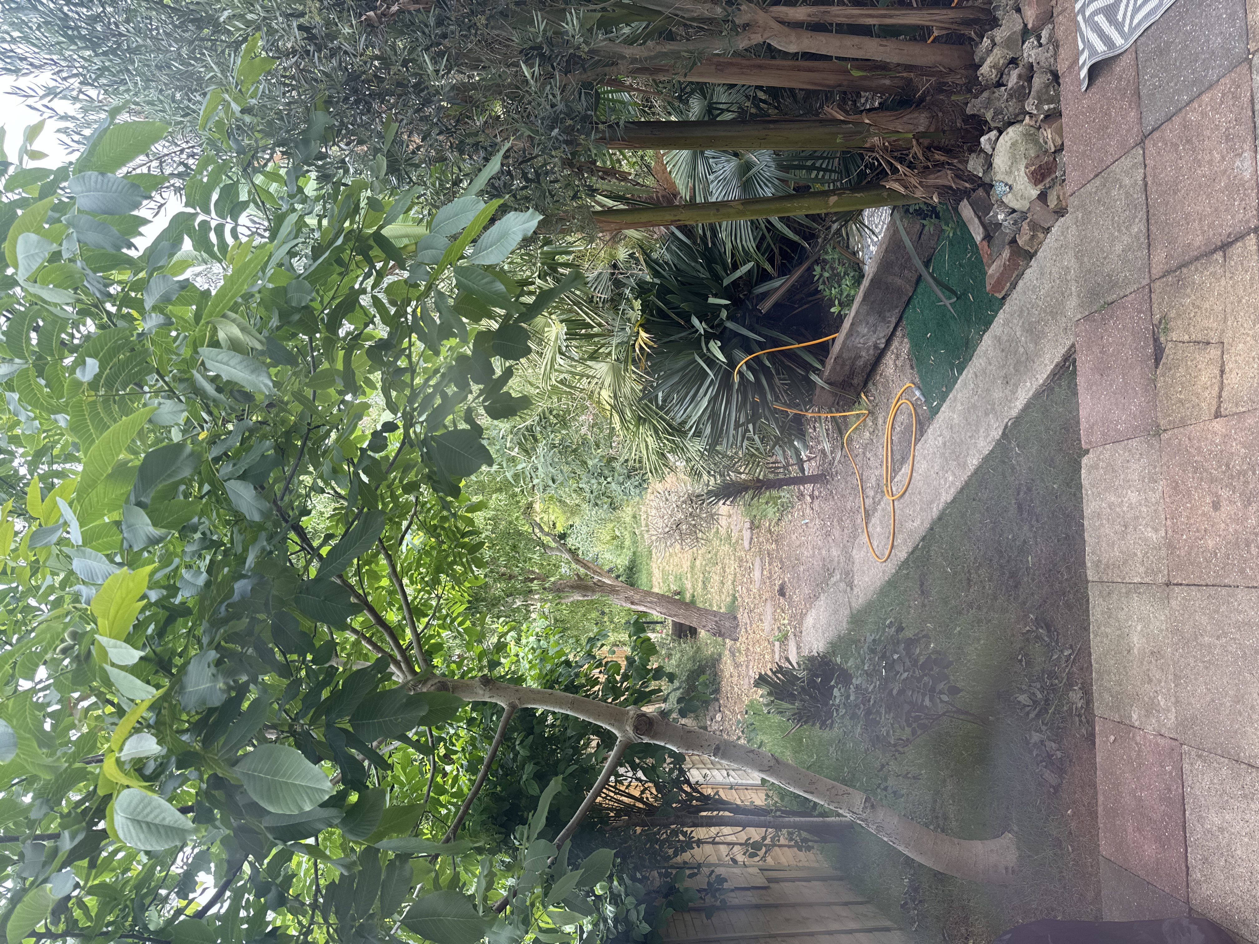 image-16