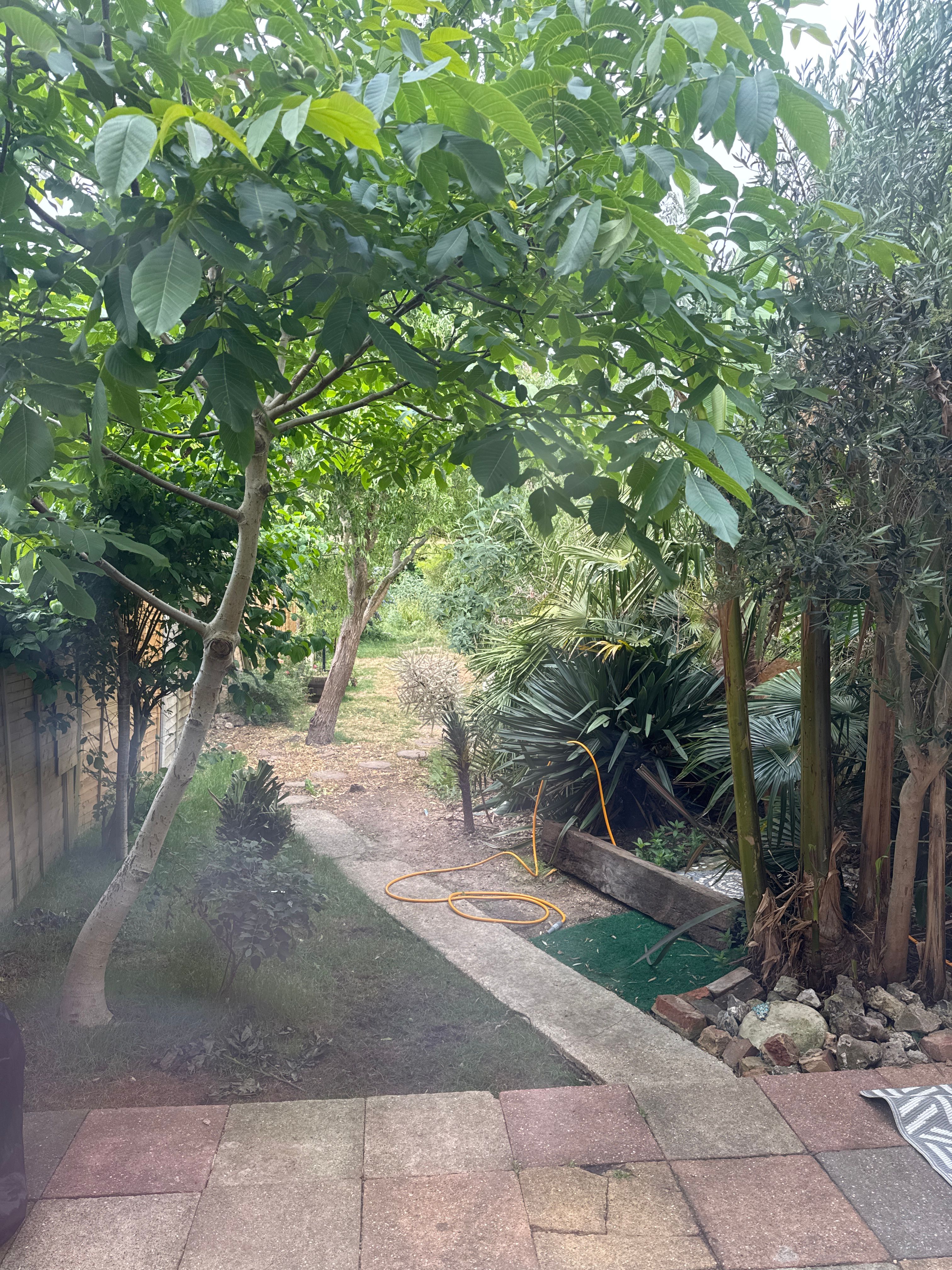 image-16