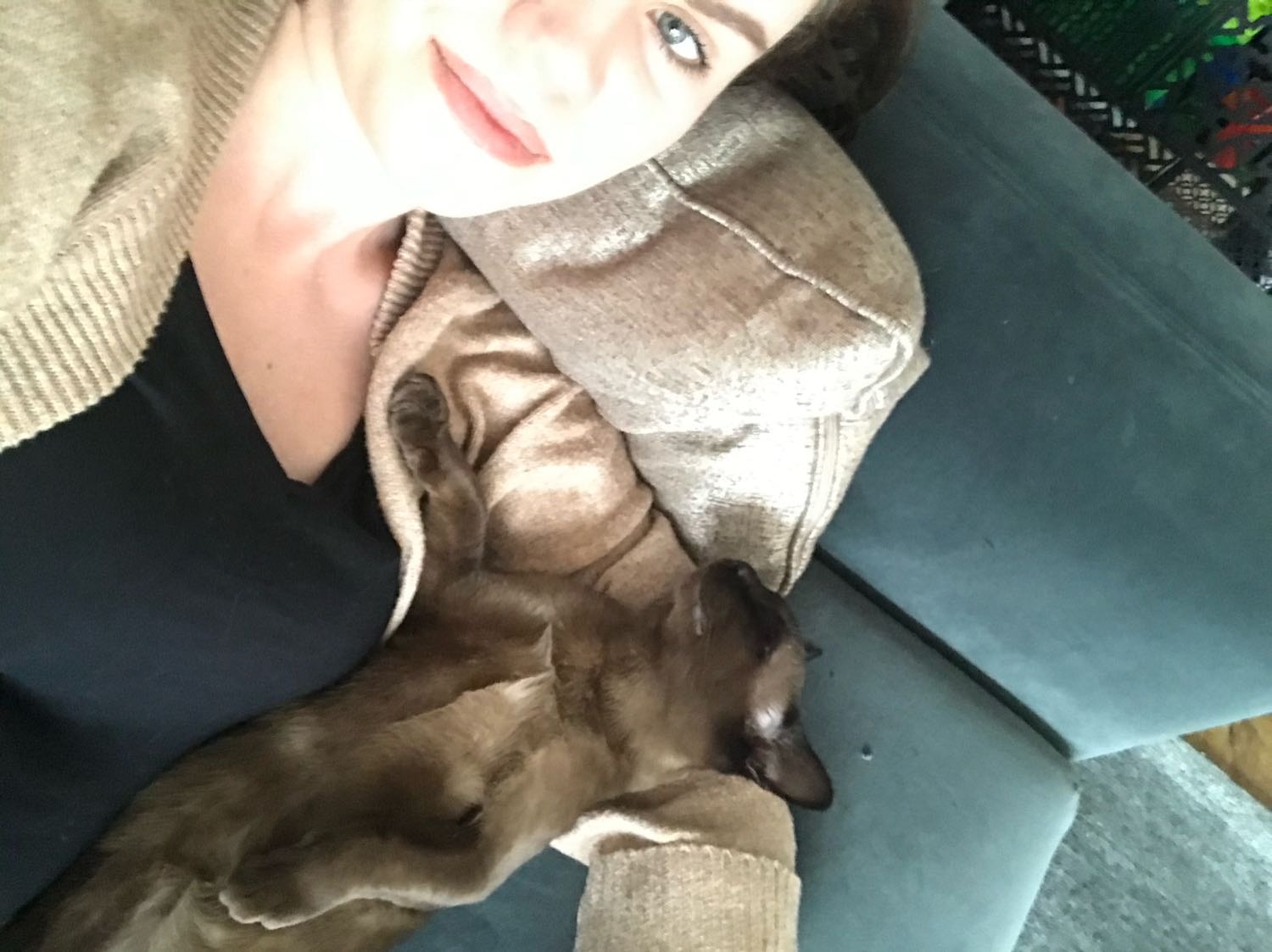image-8