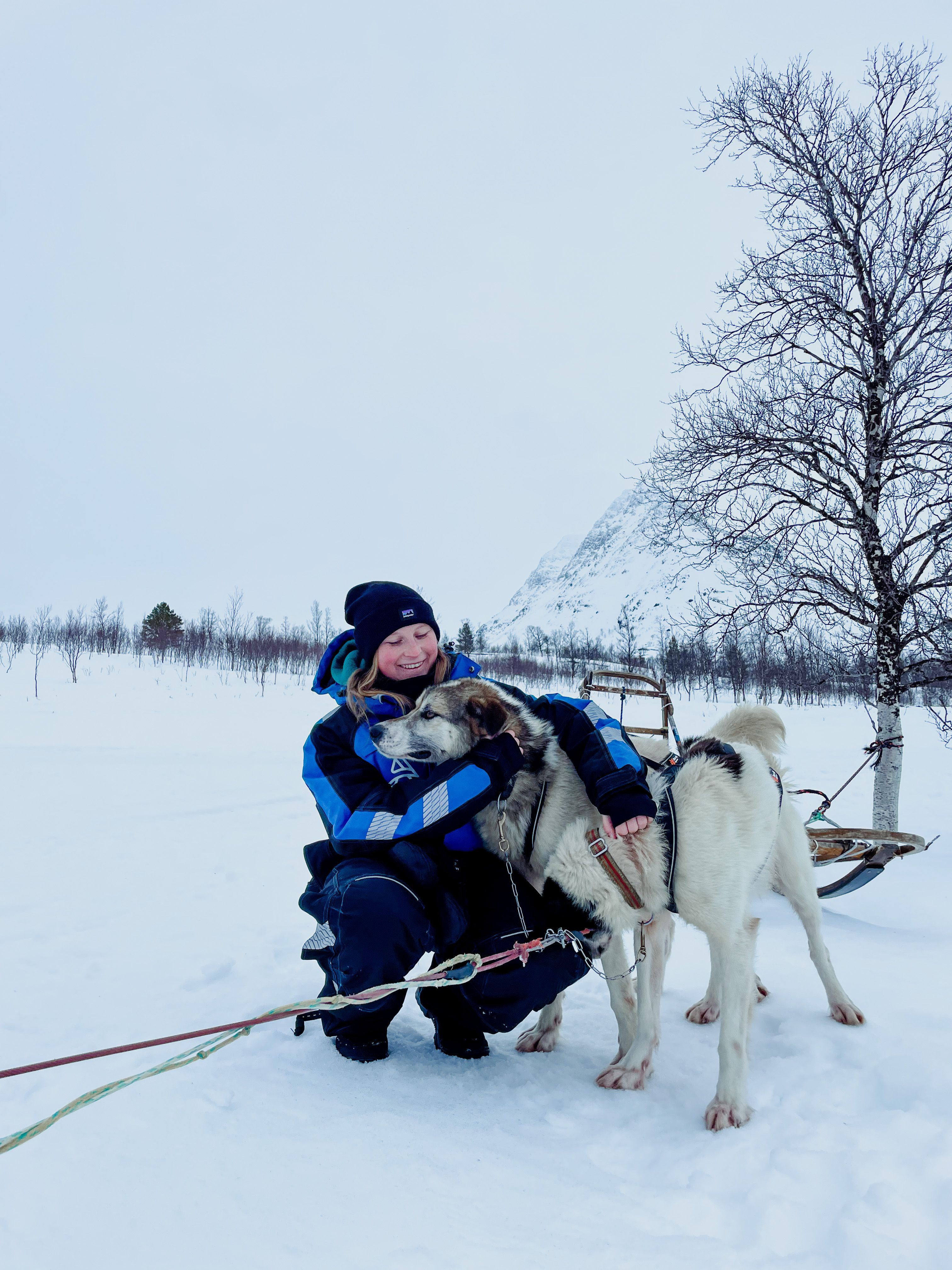 image-7