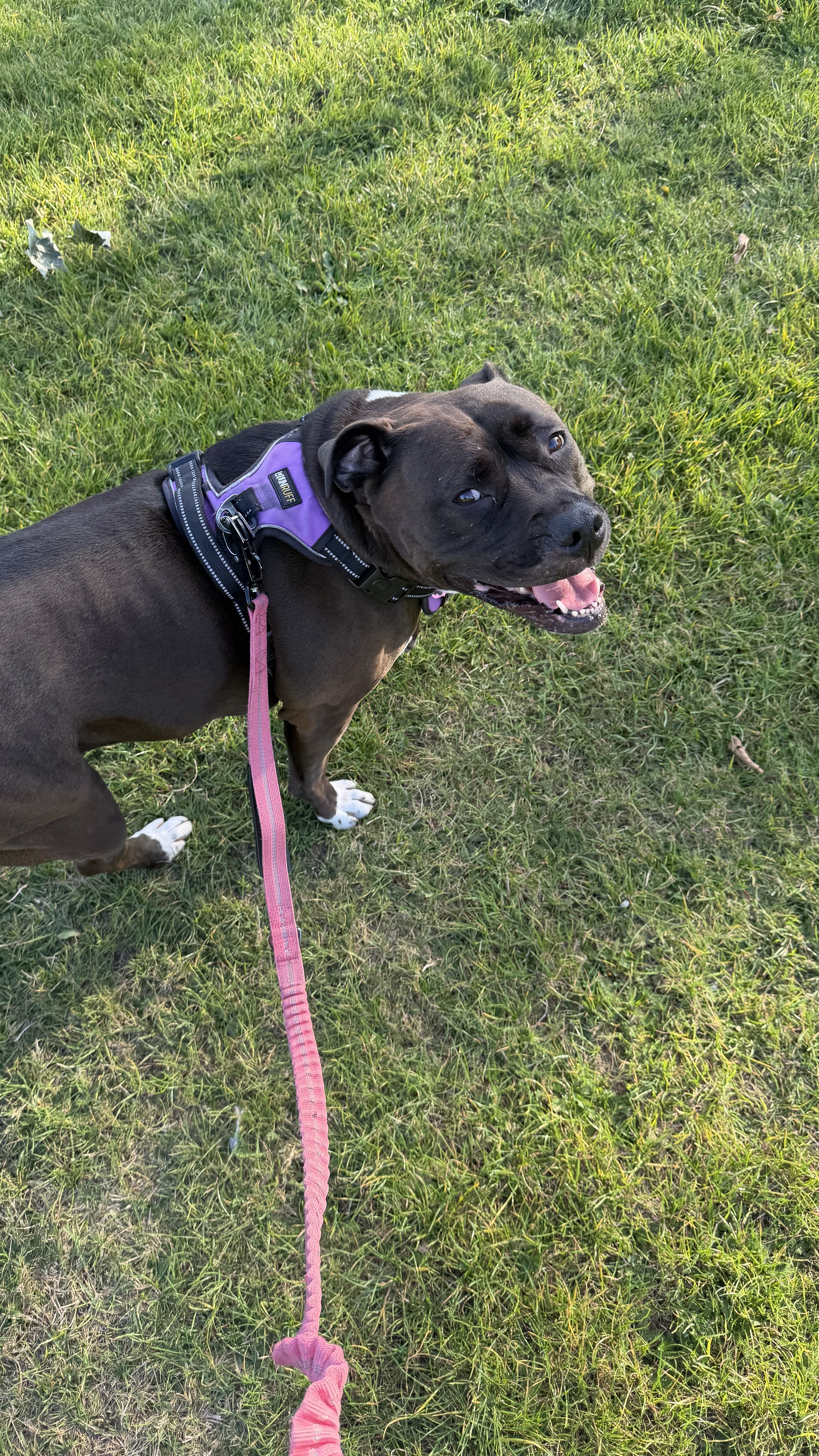 image-4