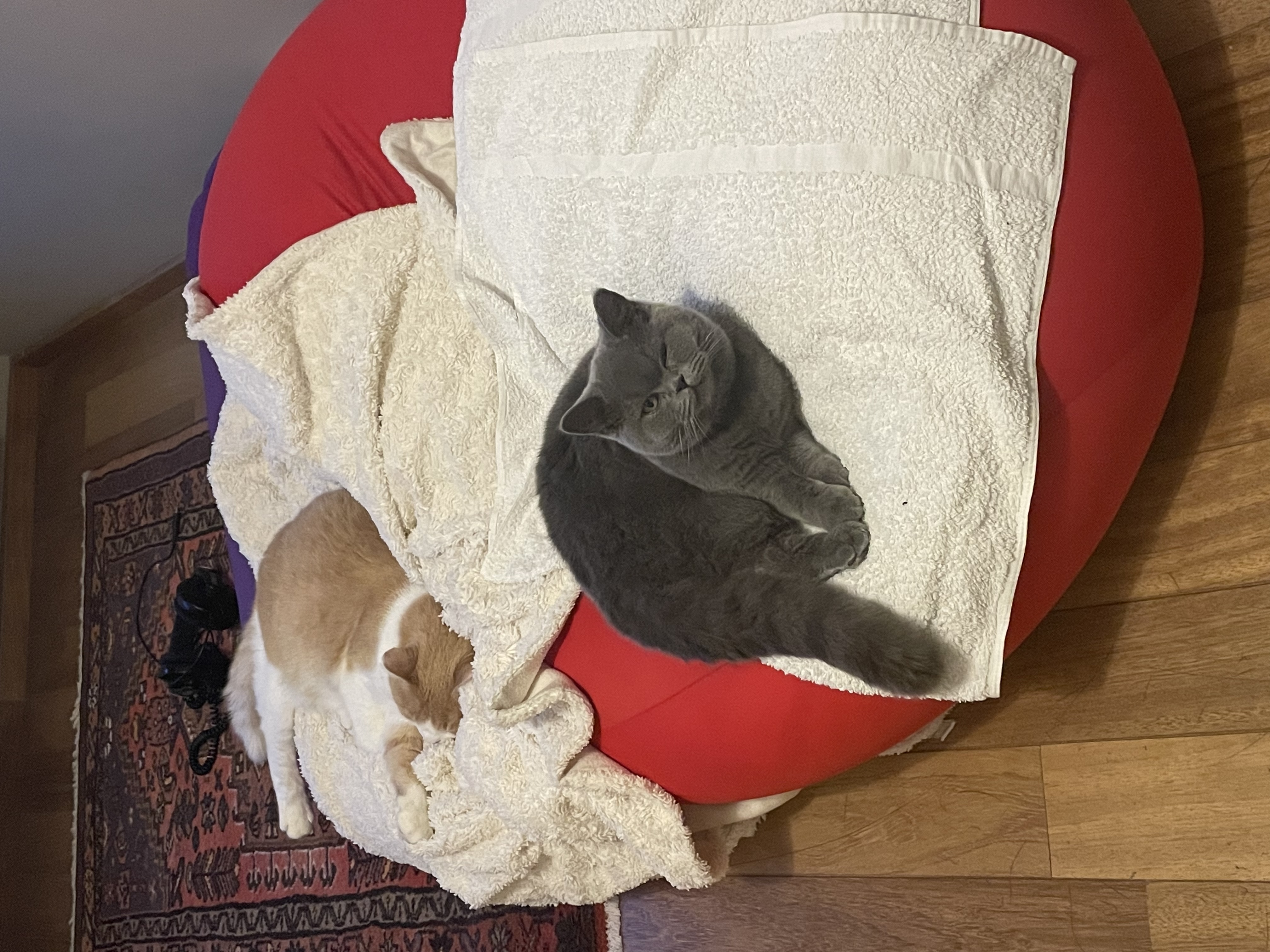 image-13