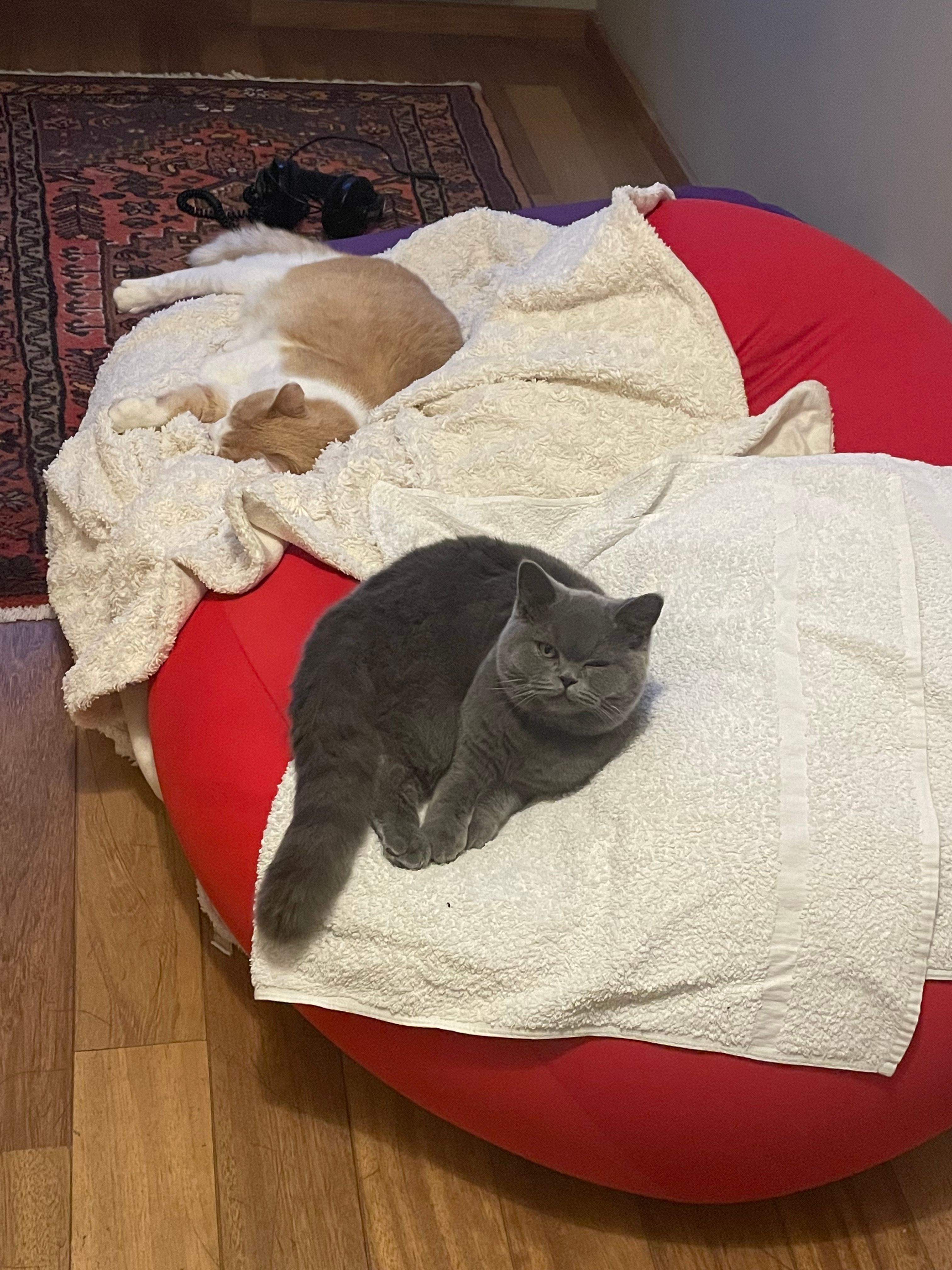 image-13