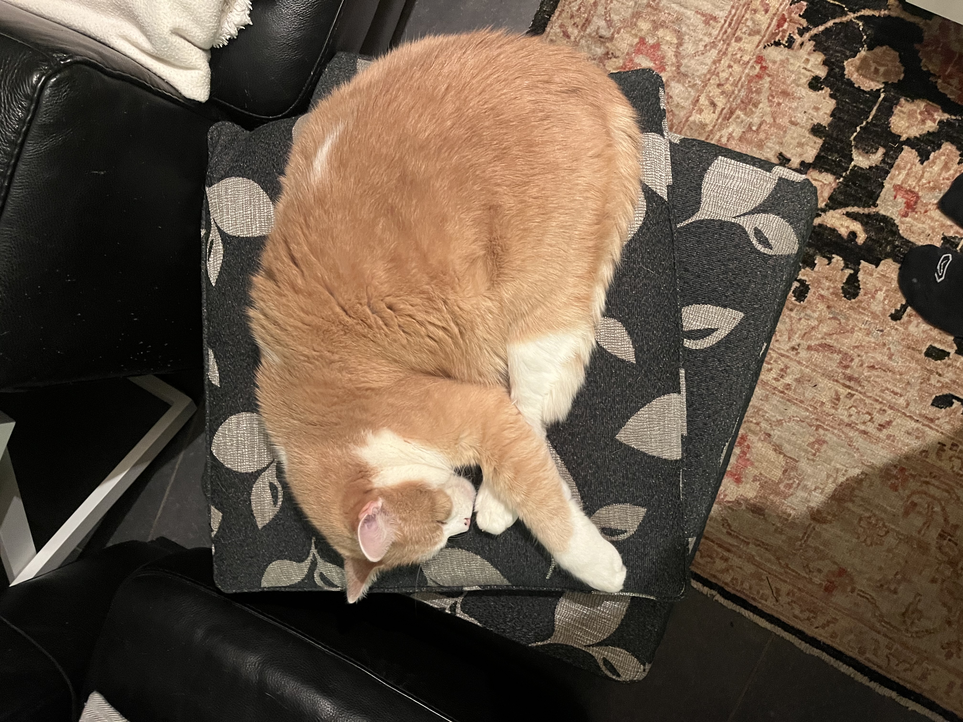 image-12
