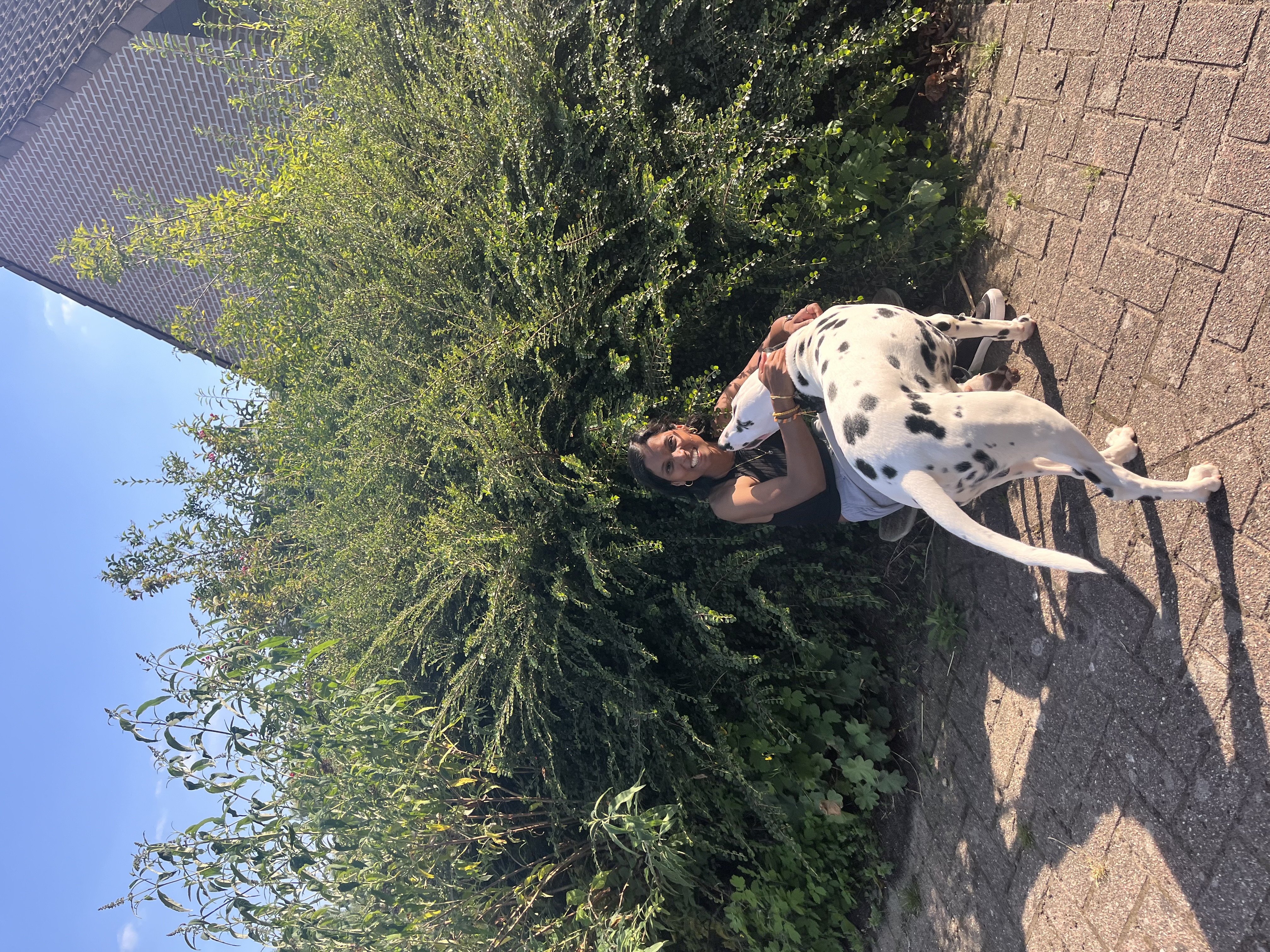 image-3