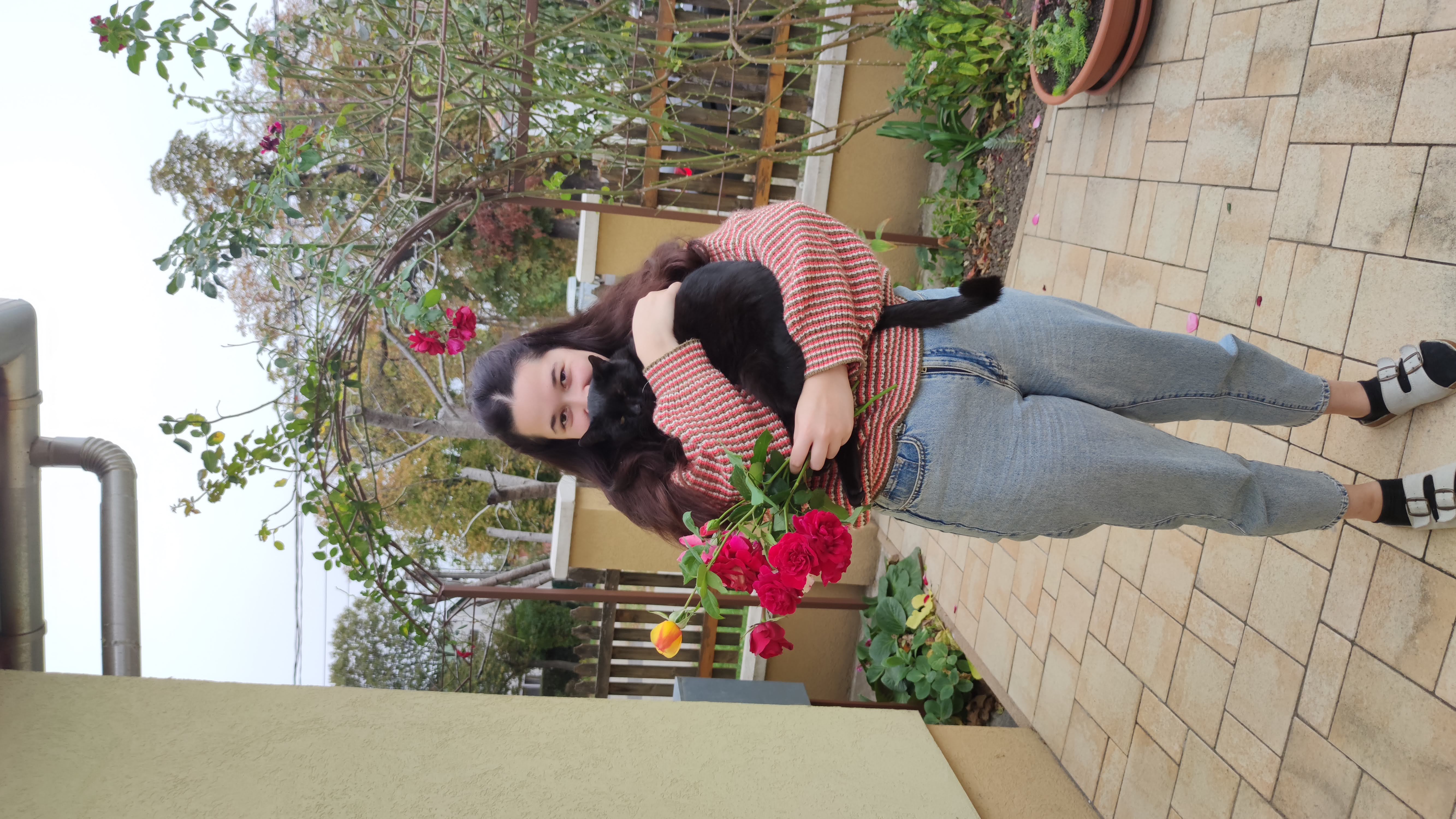 image-7
