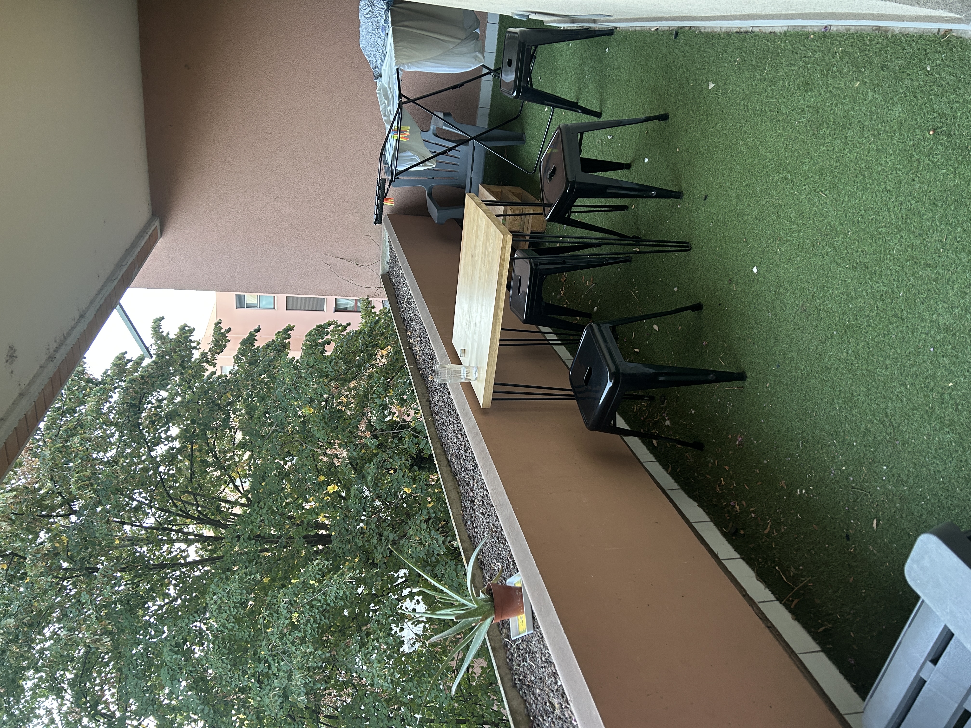 image-19