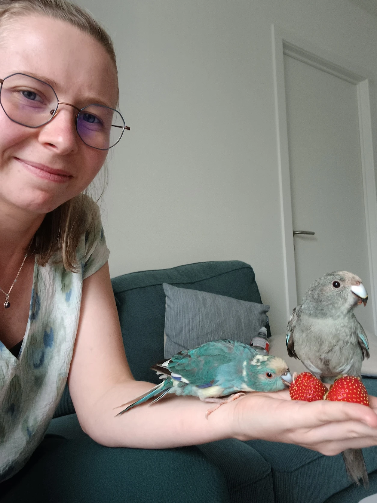 image-4
