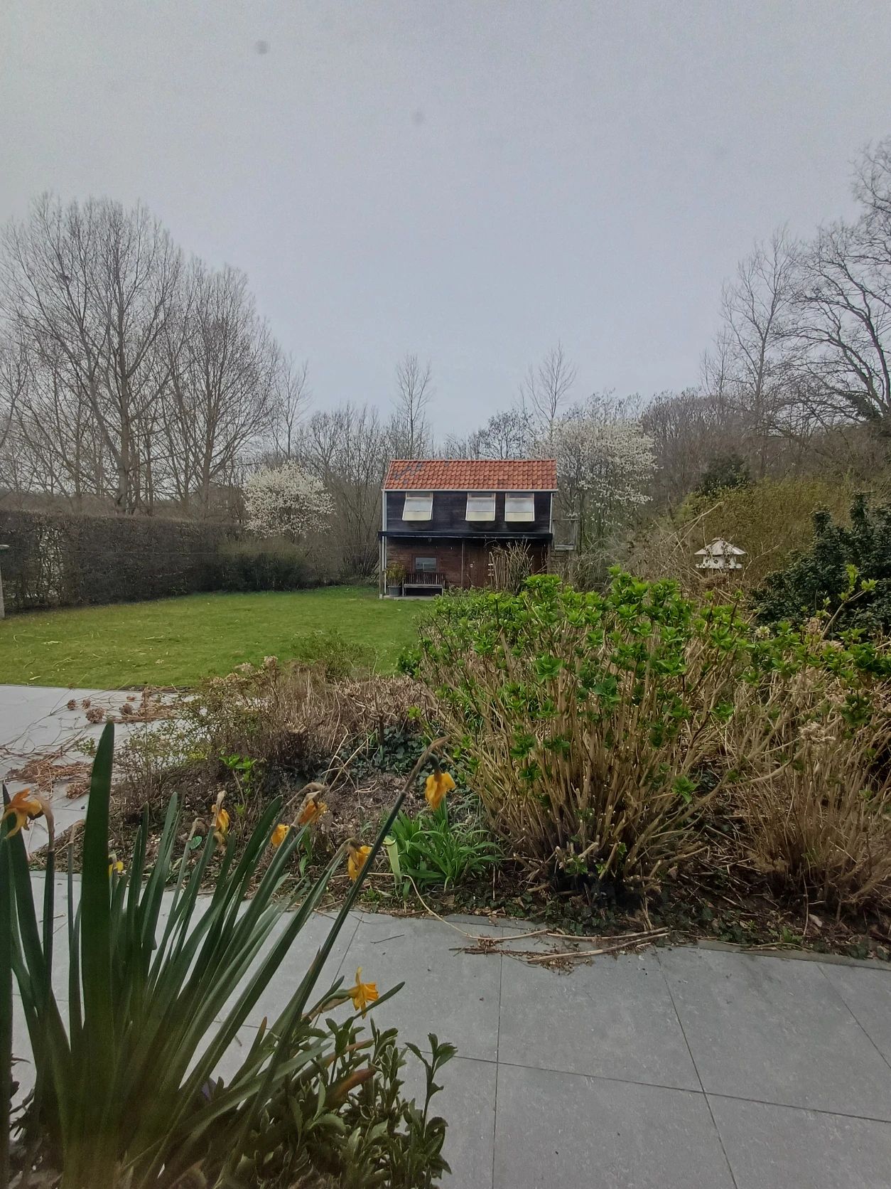 image-7