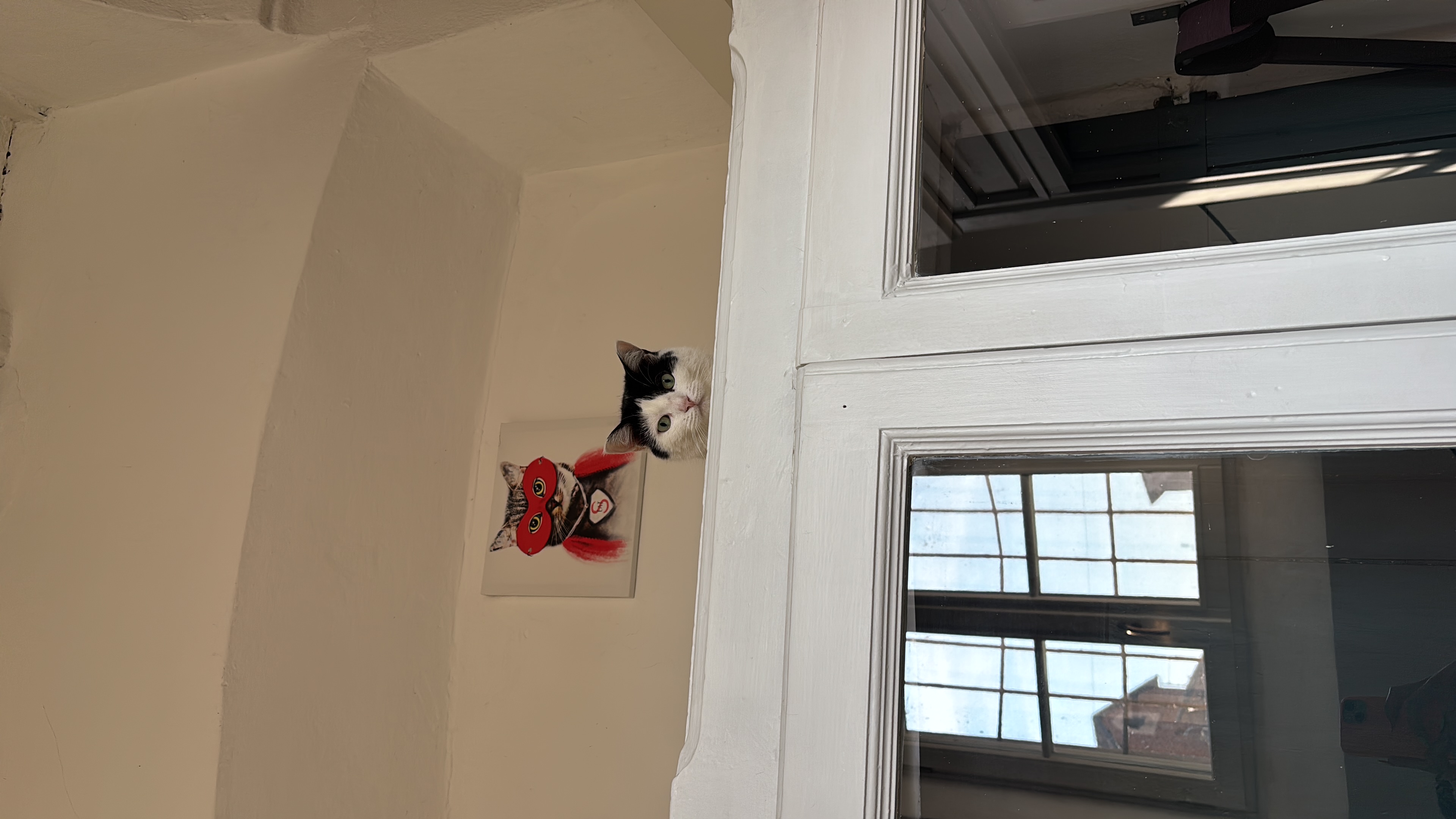 image-13