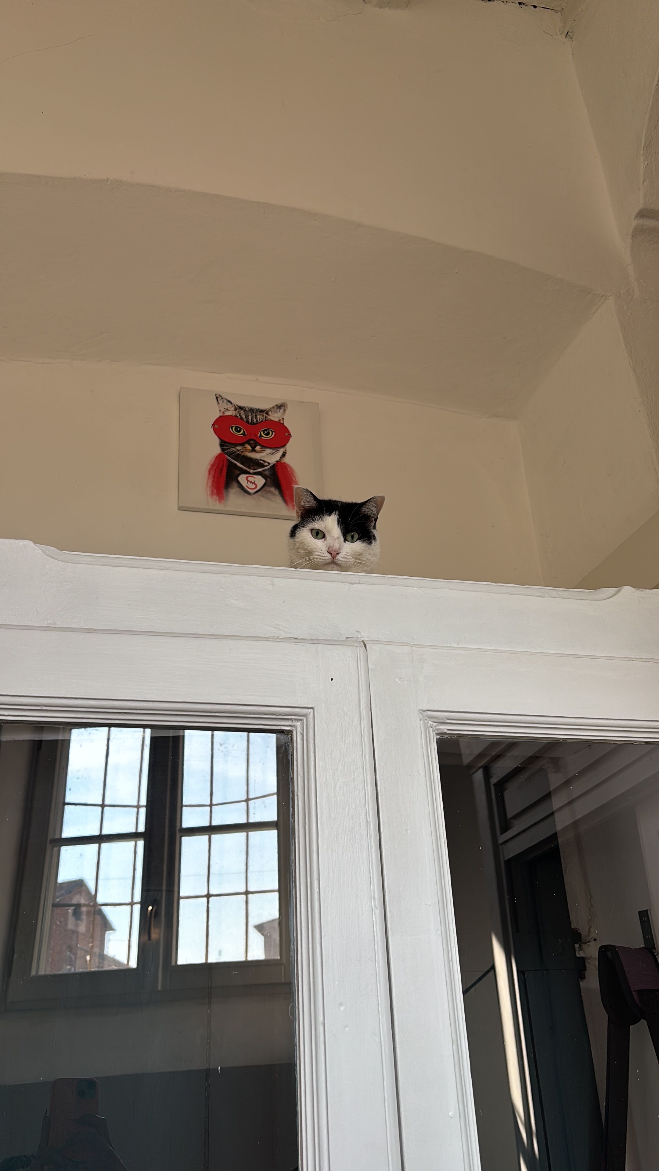 image-13