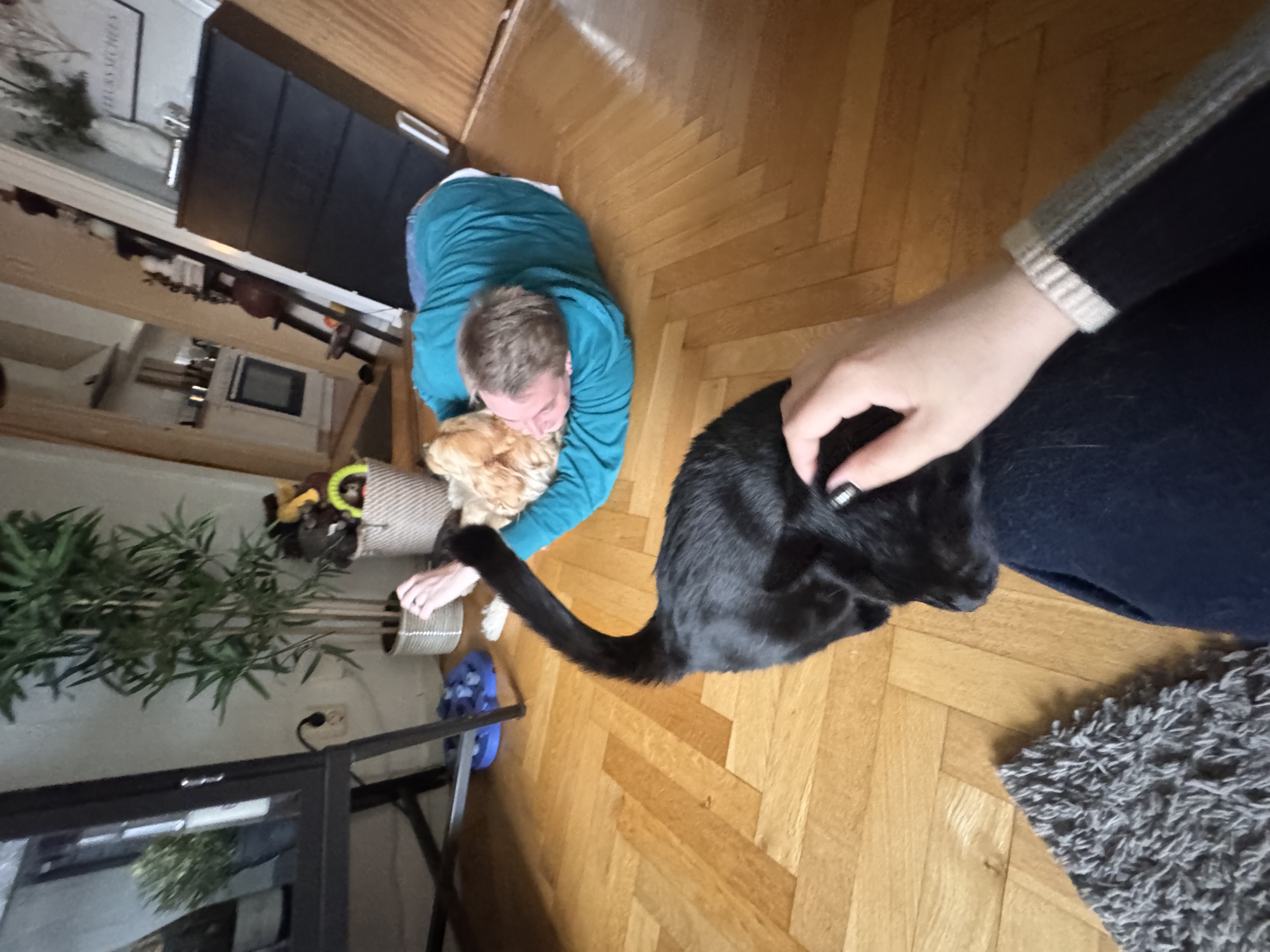 image-12