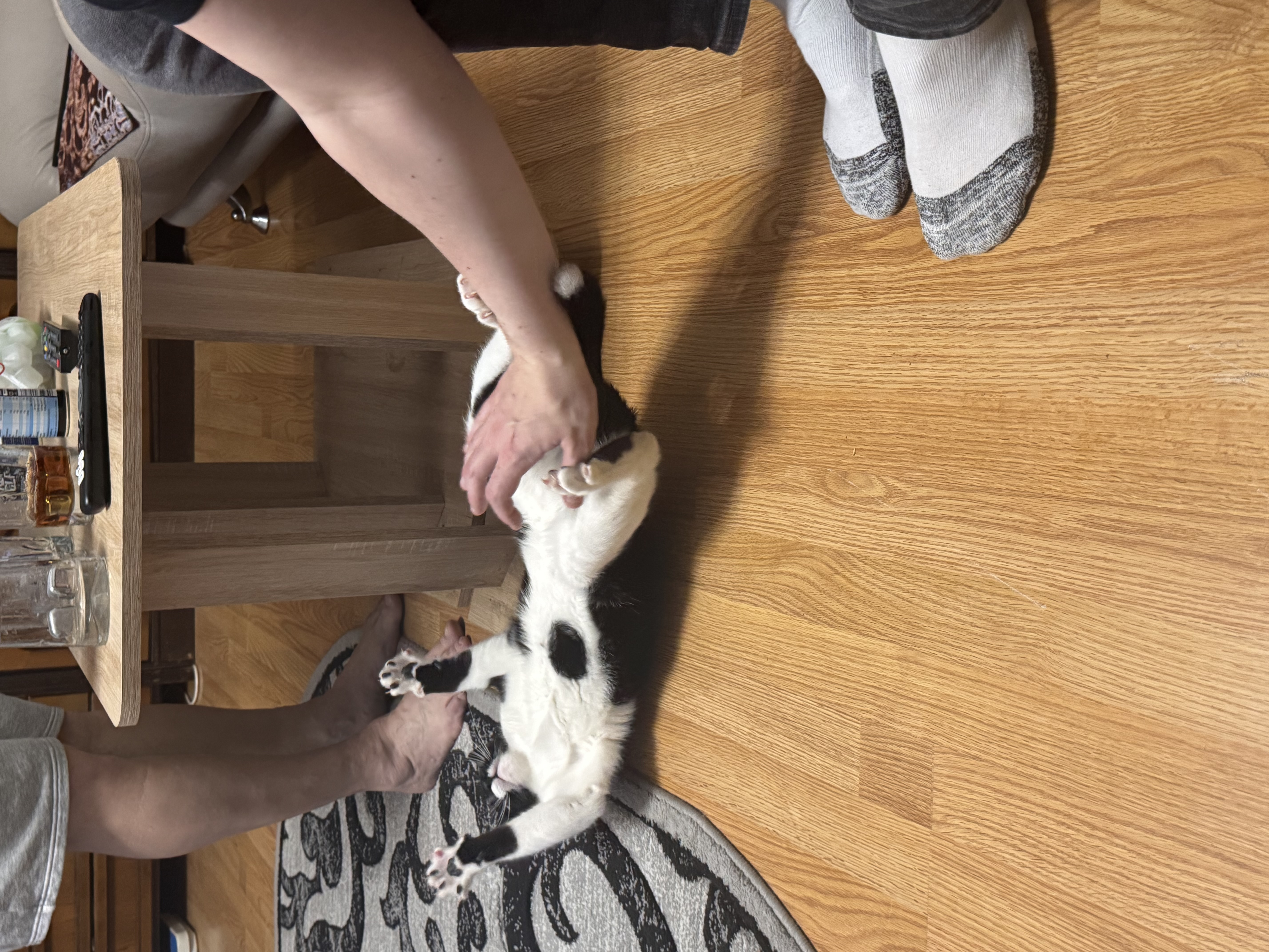 image-11