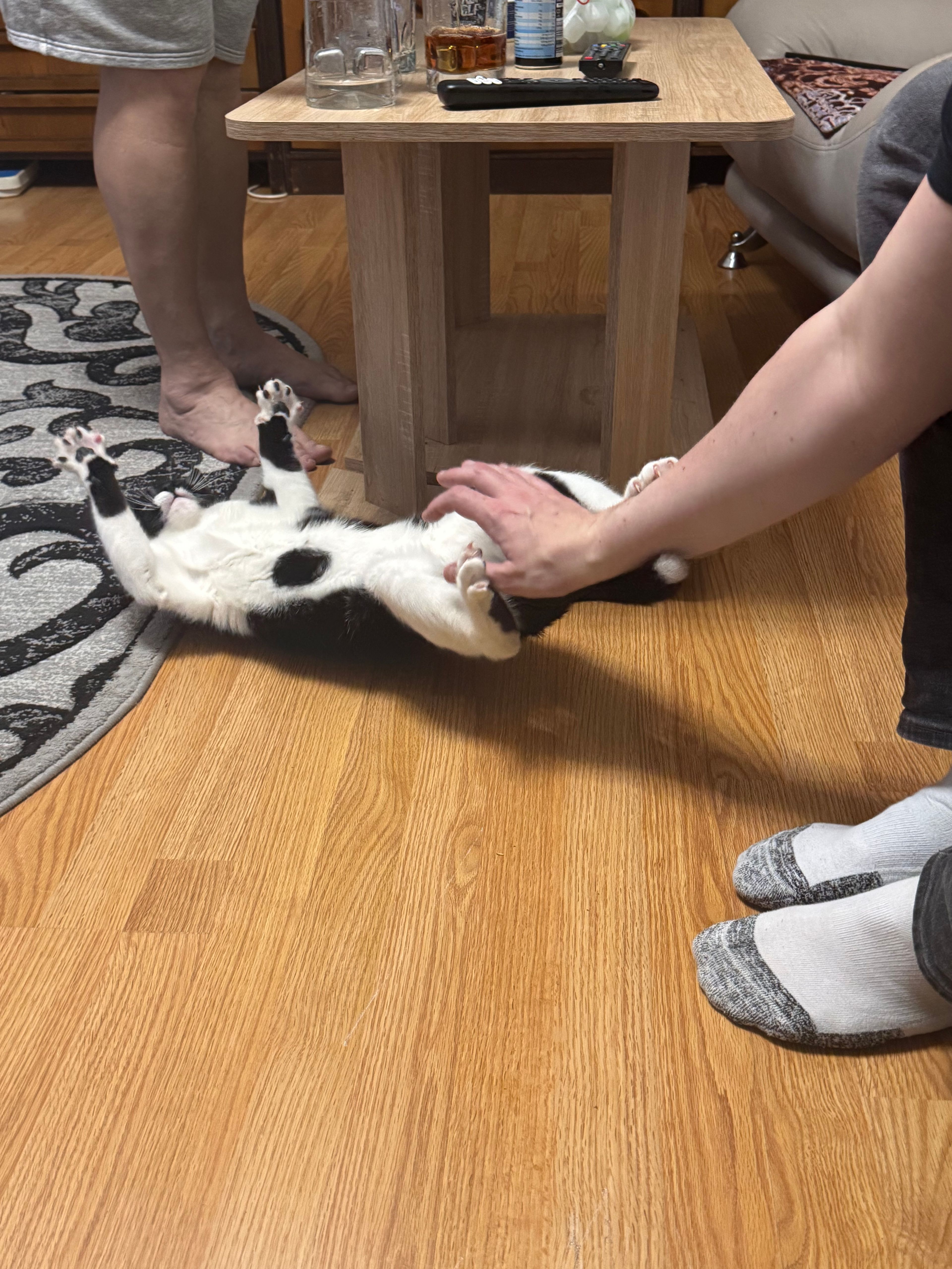 image-11