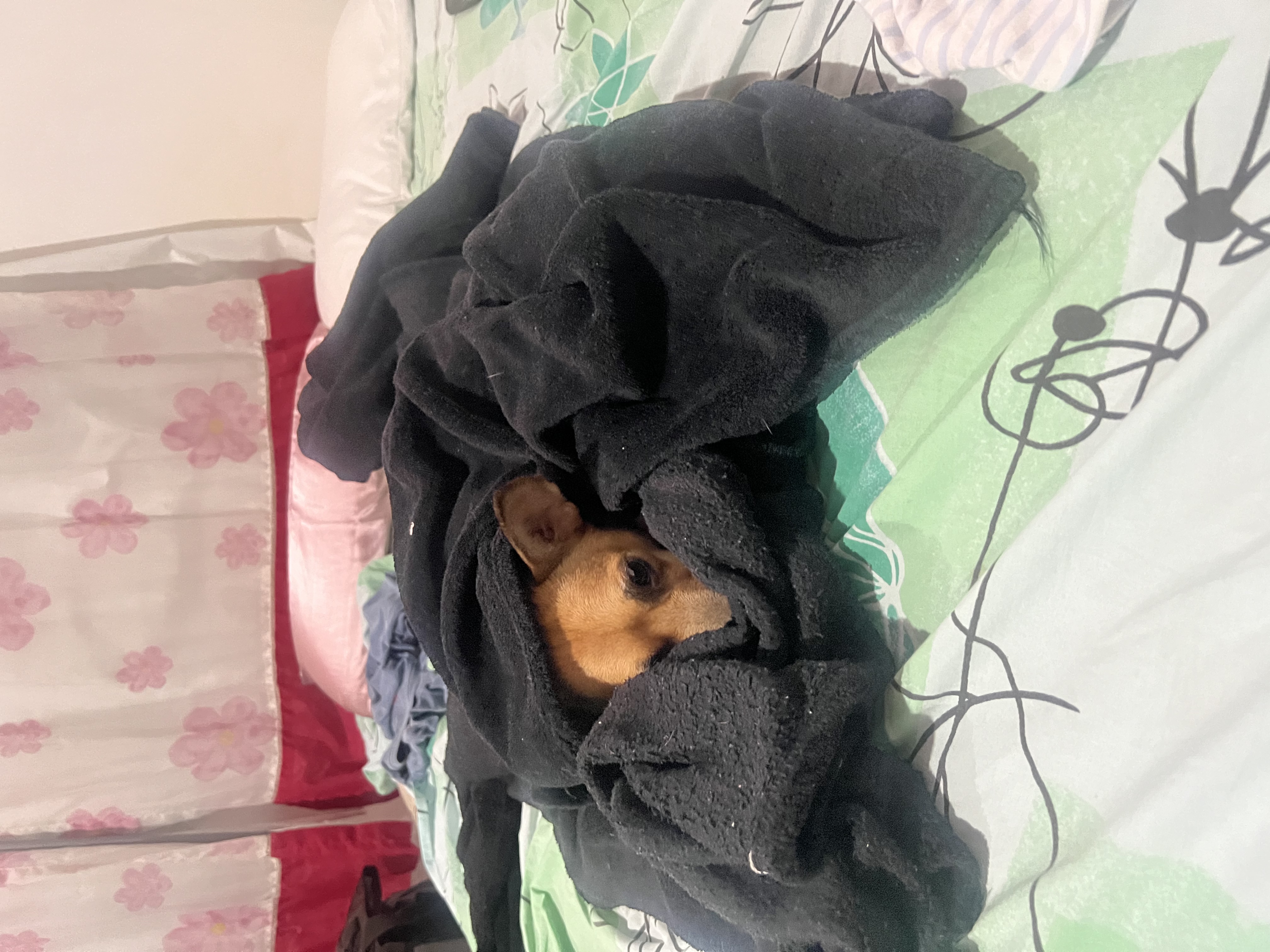 image-8